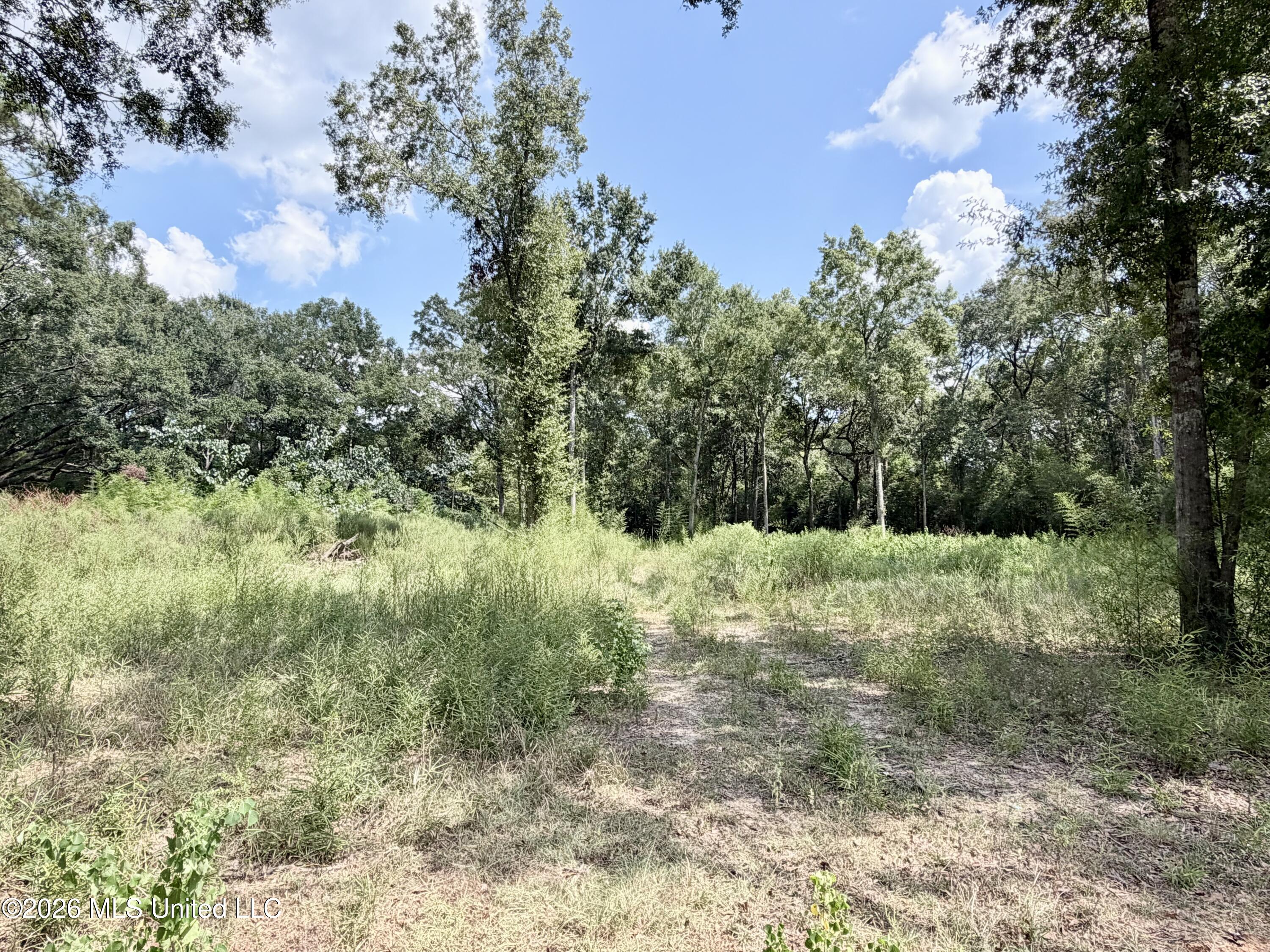 Hwy 63 Property Photo 1