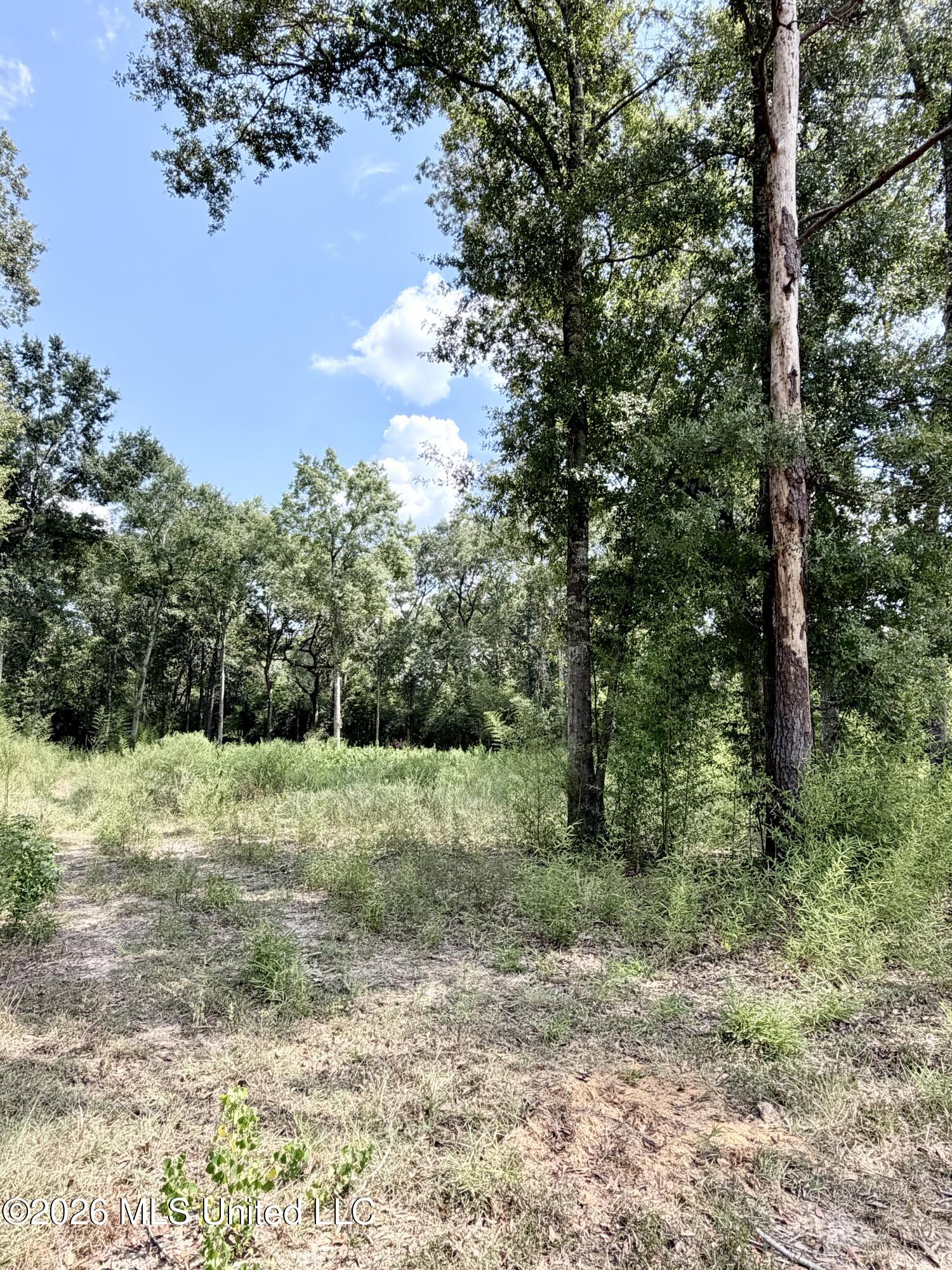 Hwy 63 Property Photo 2