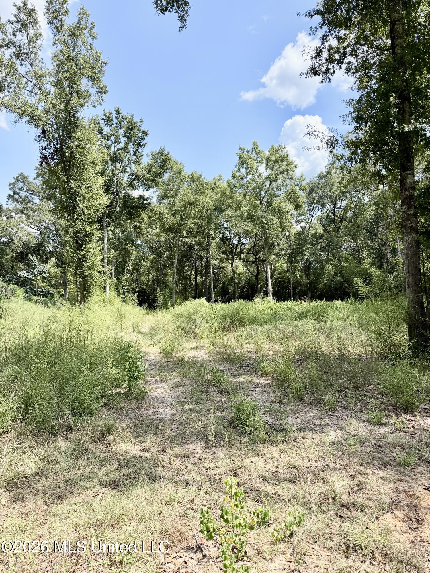 Hwy 63 Property Photo 3