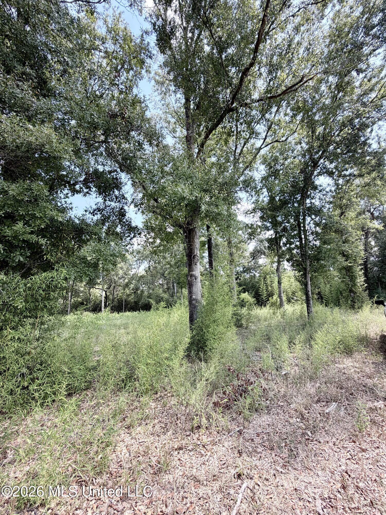 Hwy 63 Property Photo 4