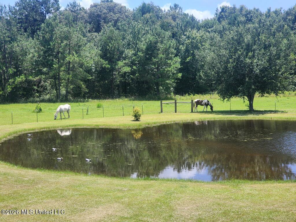 88 Compton Ranch Road Property Photo 3