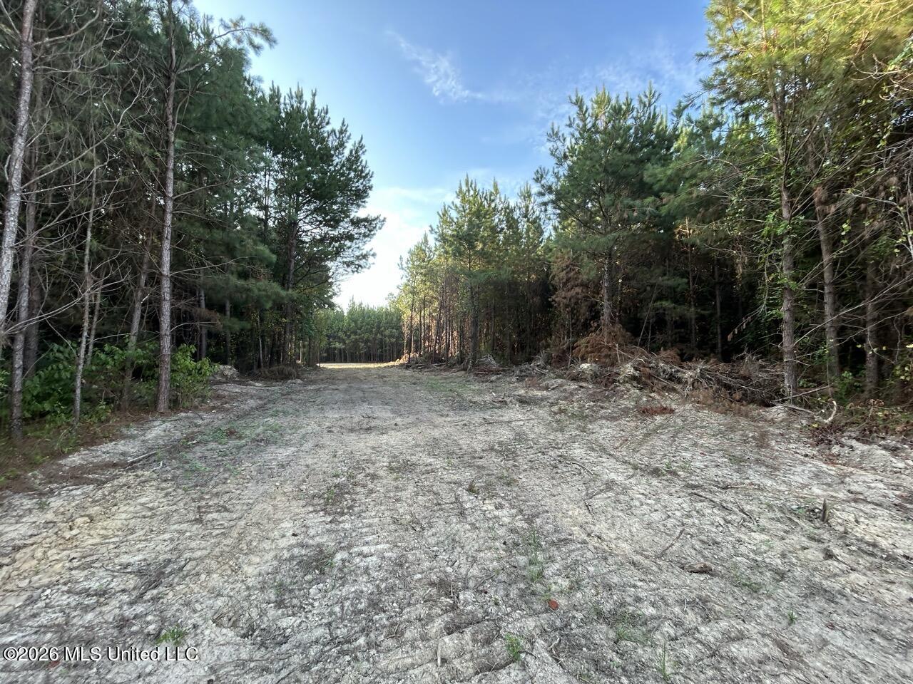 5 Old Oldenburg Road Property Photo 19