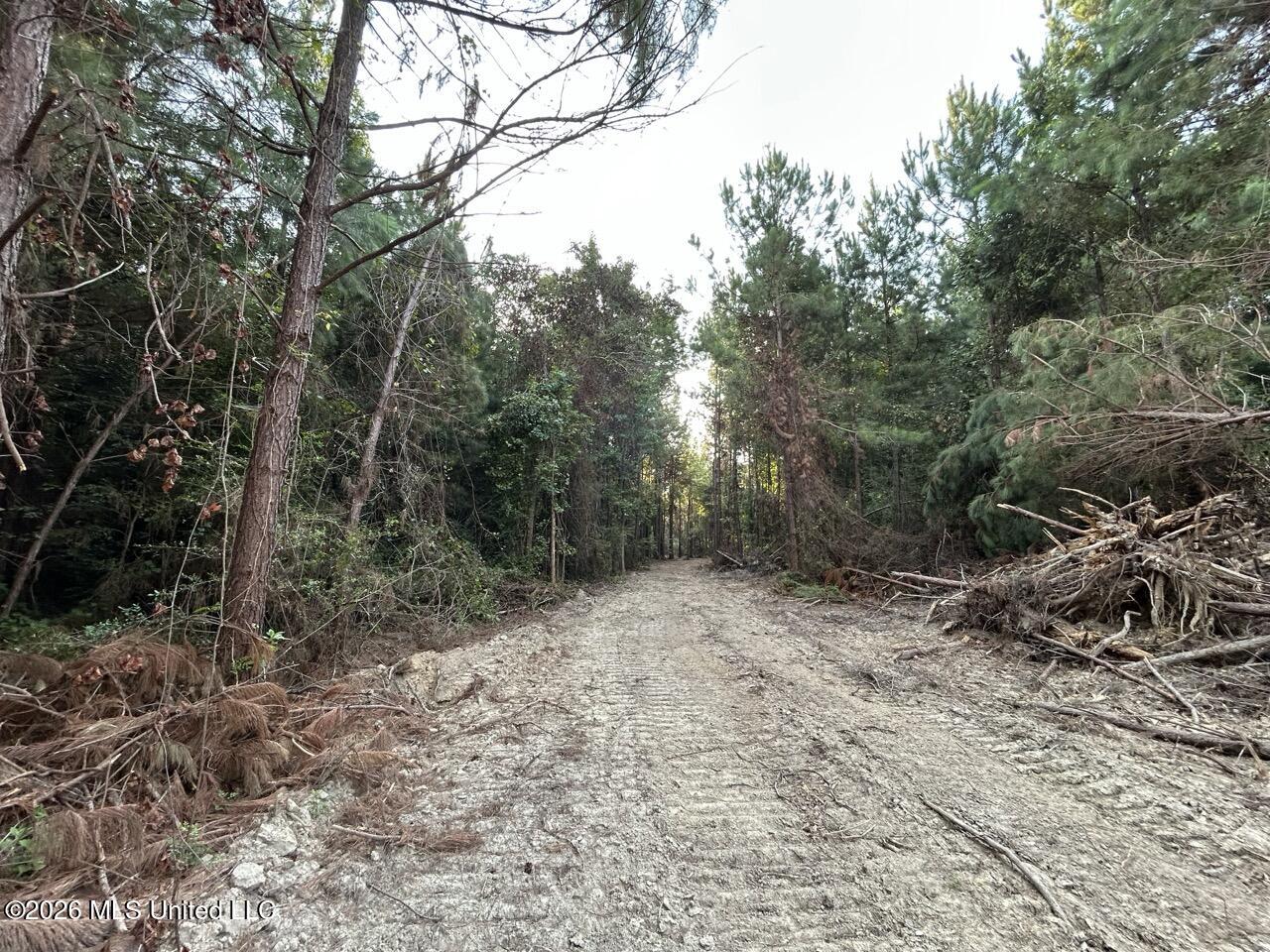 5 Old Oldenburg Road Property Photo 21