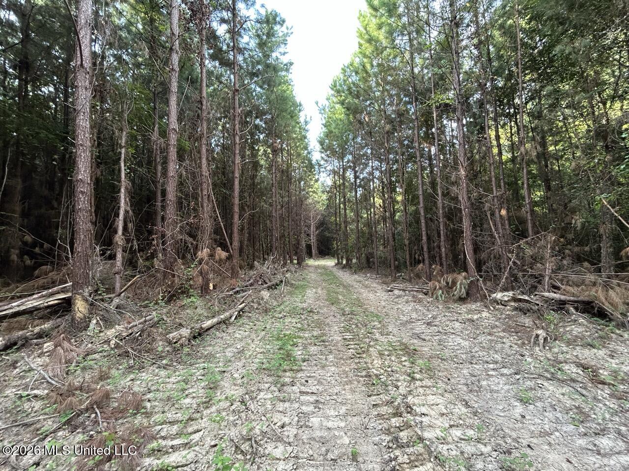 5 Old Oldenburg Road Property Photo 28