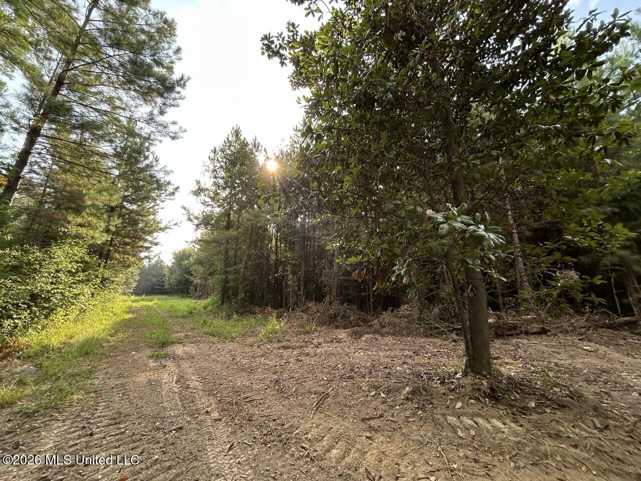 5 Old Oldenburg Road Property Photo 32
