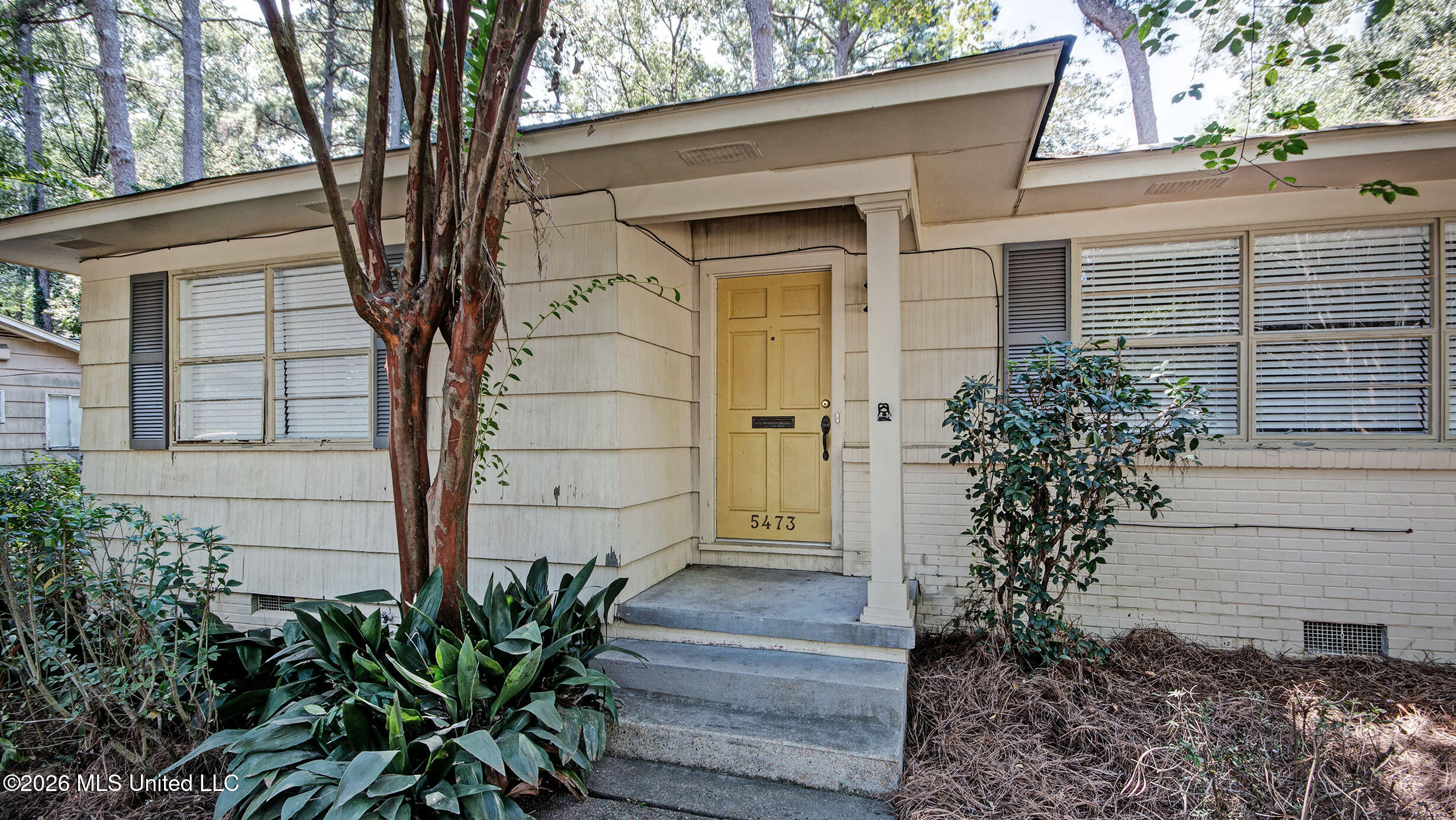 5473 Pine Lane Drive Property Photo 4
