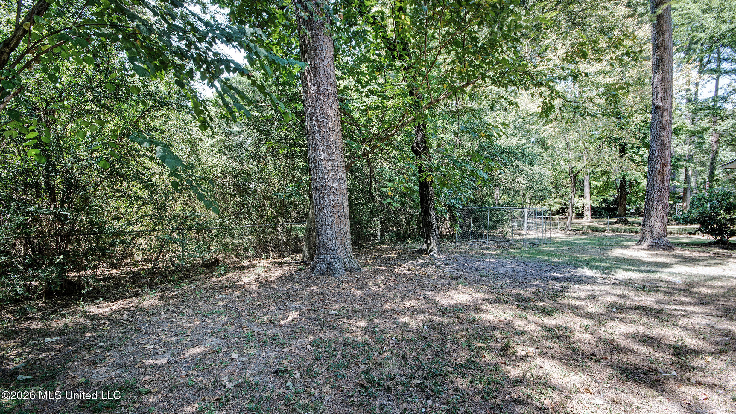 5473 Pine Lane Drive Property Photo 9