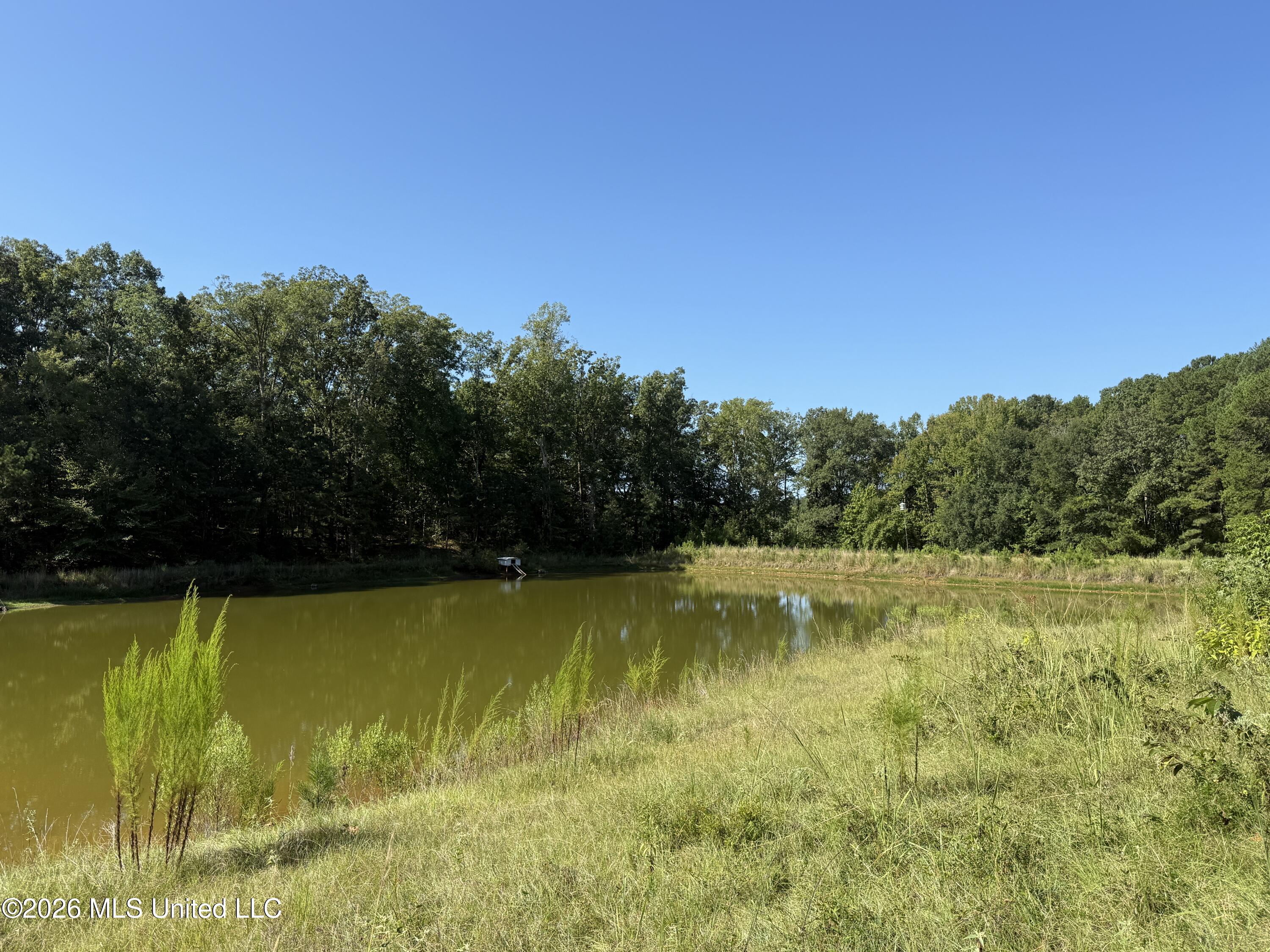 7626 Attala Road 5216 Property Photo 13