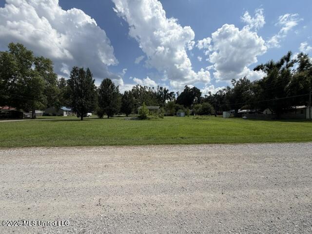 156 Phil Lane Property Photo 4