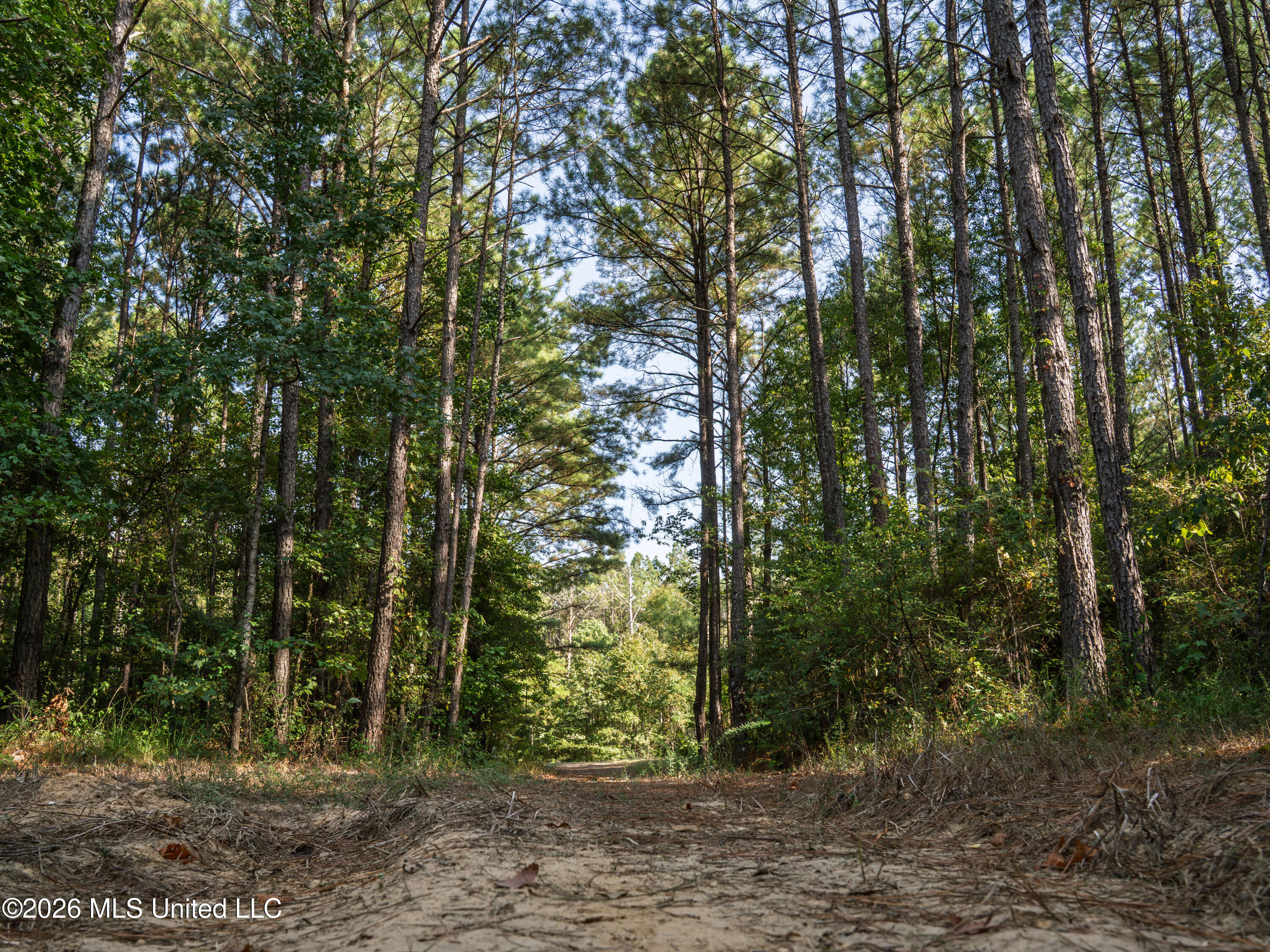 884 Truitt Road Property Photo 2