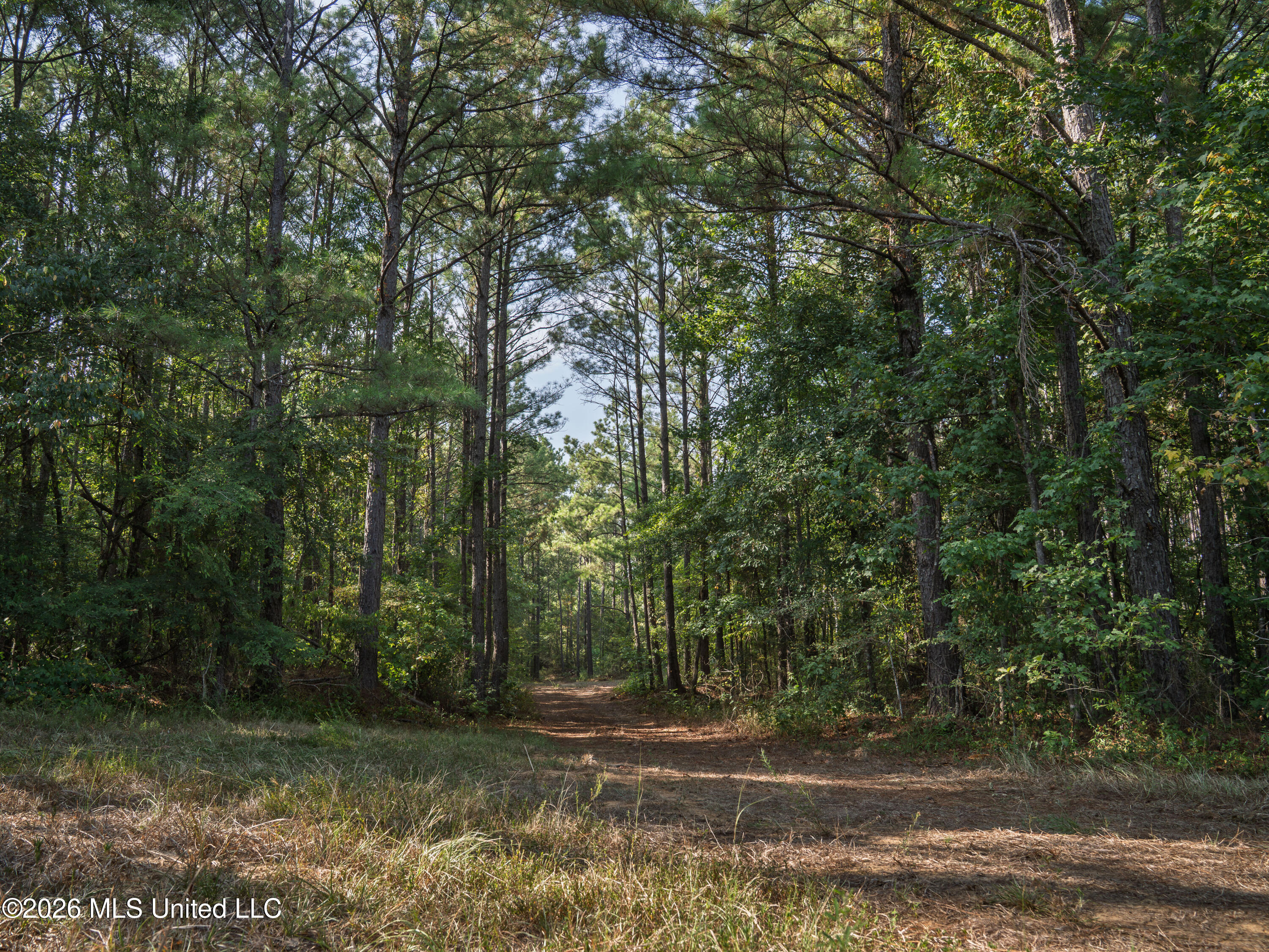 884 Truitt Road Property Photo 3