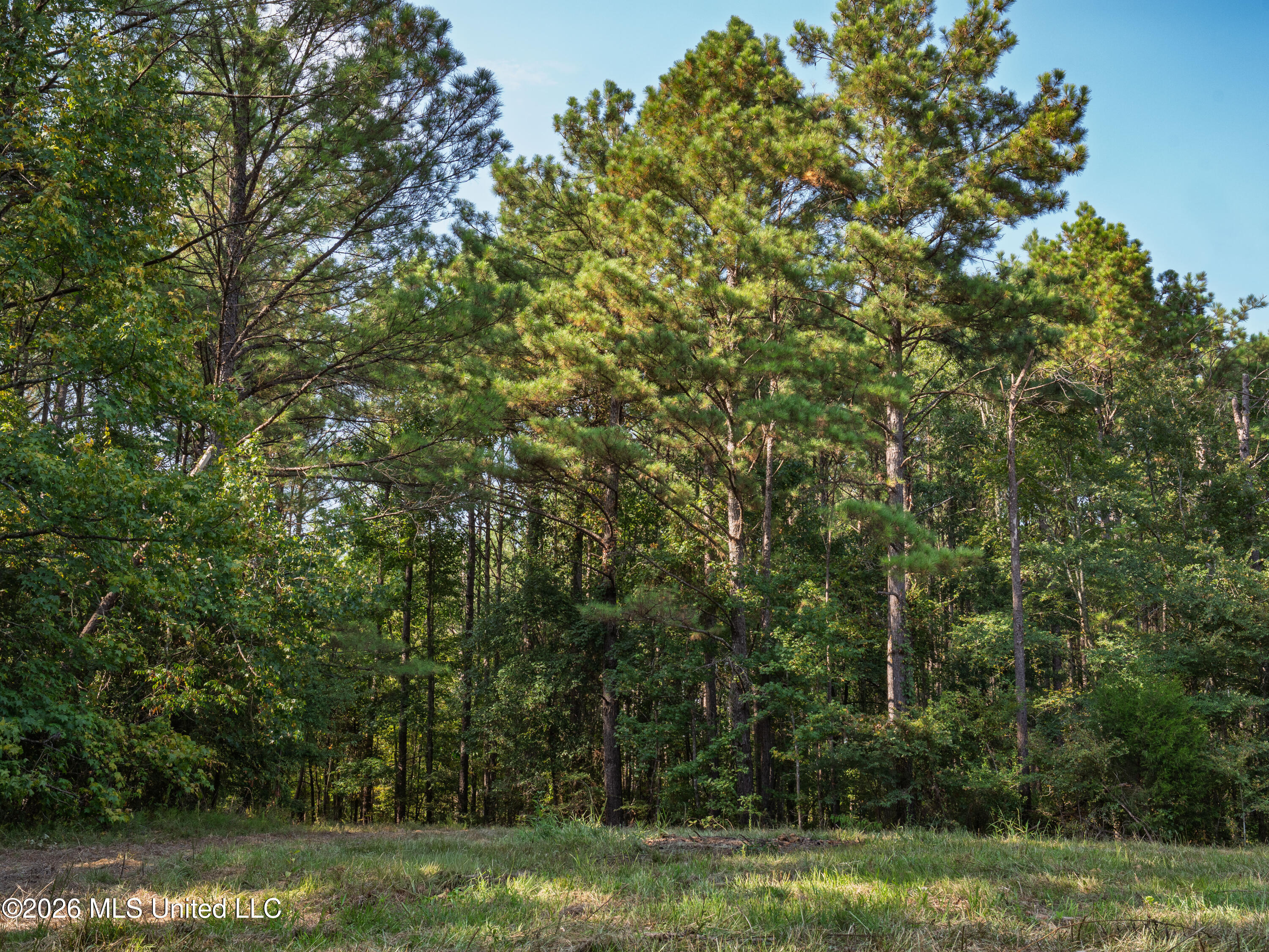 884 Truitt Road Property Photo 4
