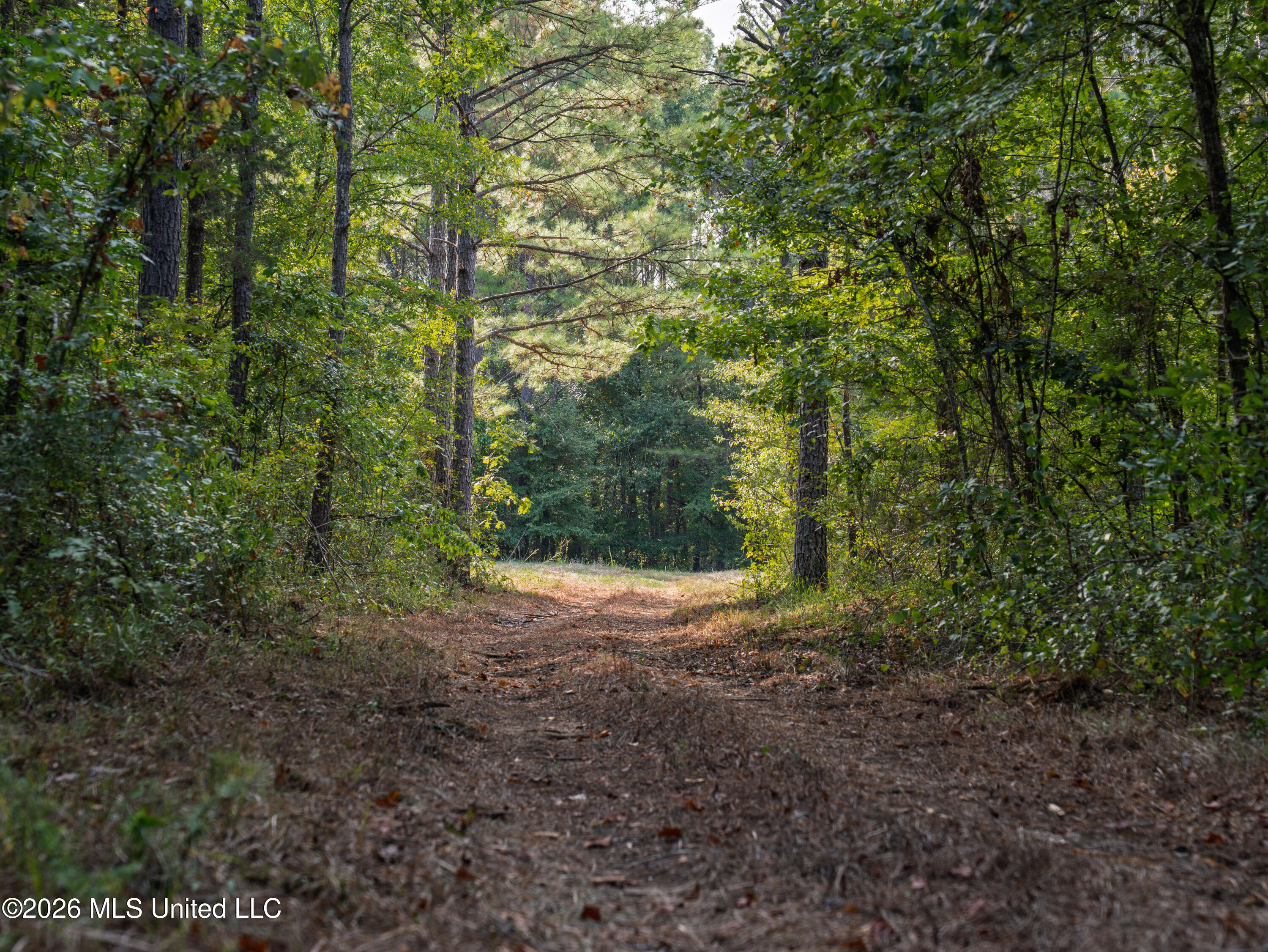 884 Truitt Road Property Photo 6