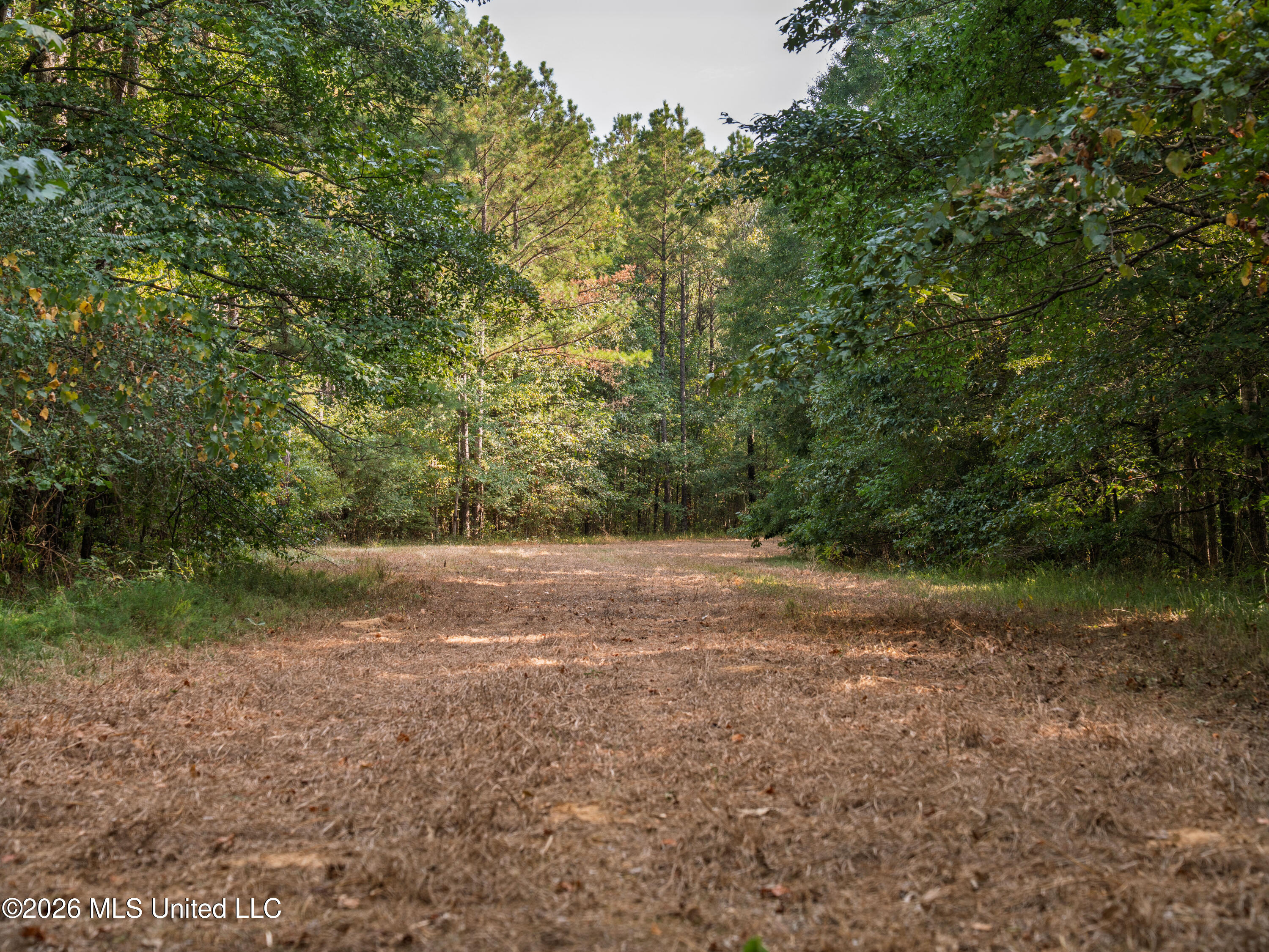 884 Truitt Road Property Photo 7