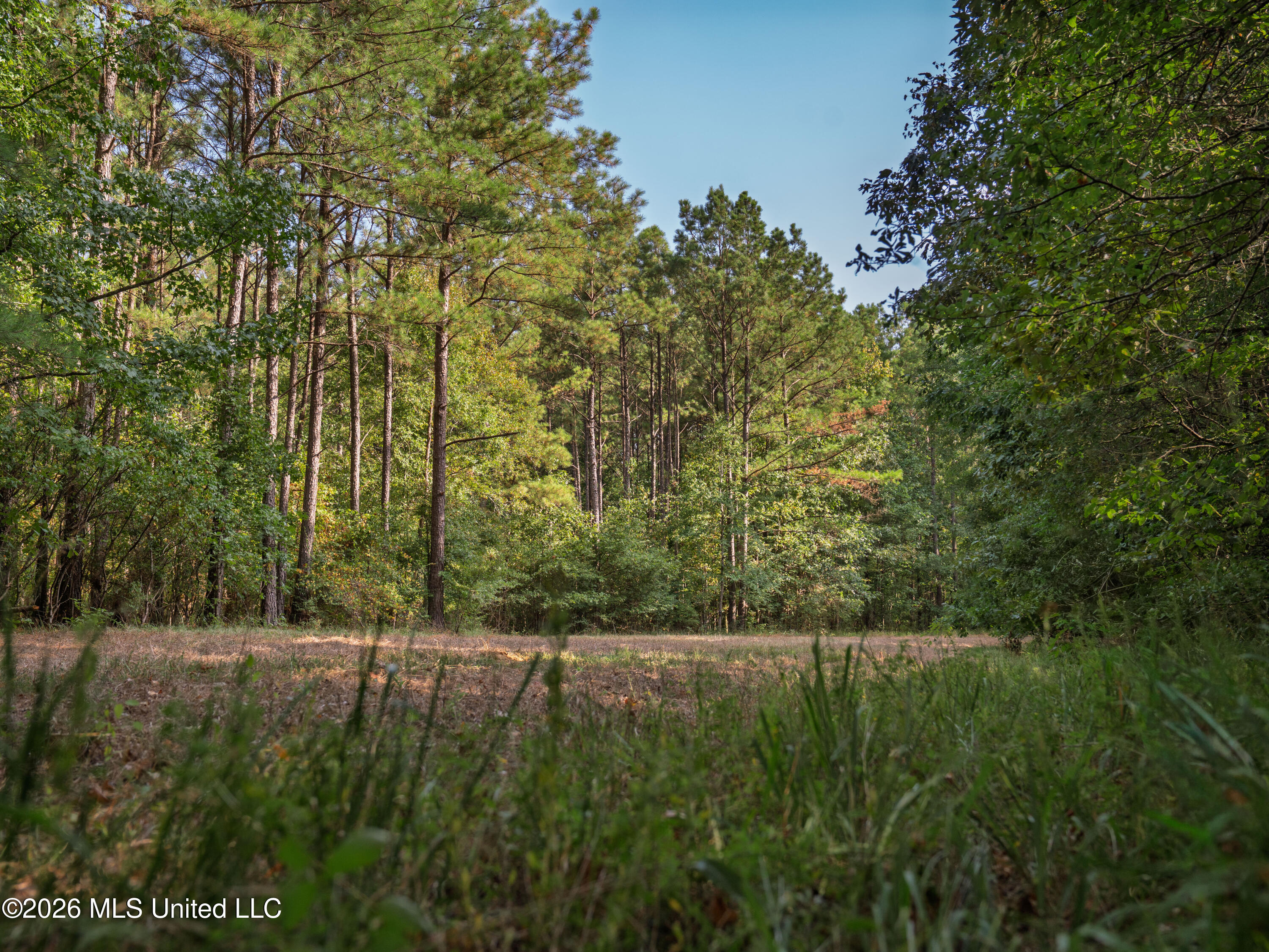 884 Truitt Road Property Photo 8