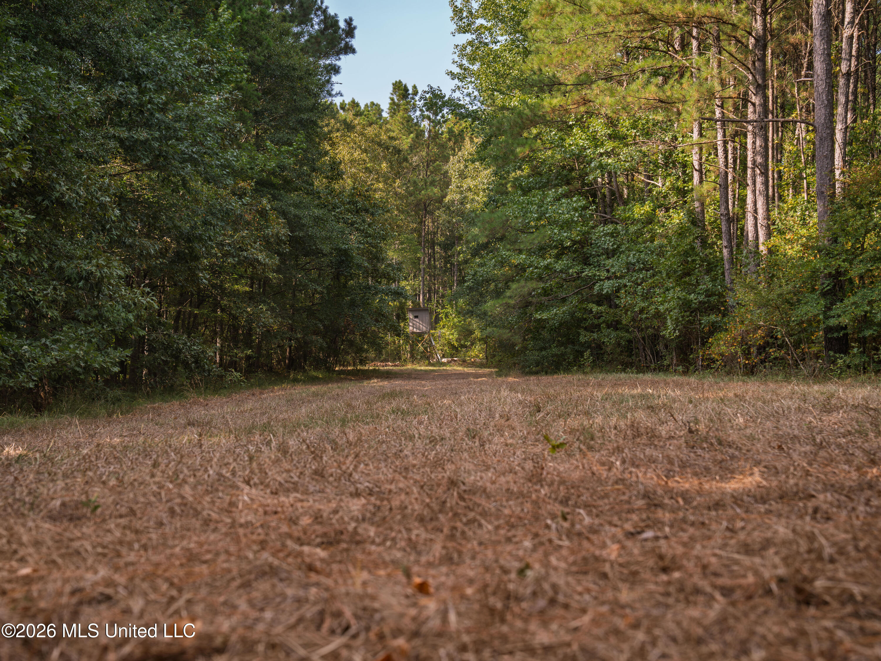 884 Truitt Road Property Photo 9