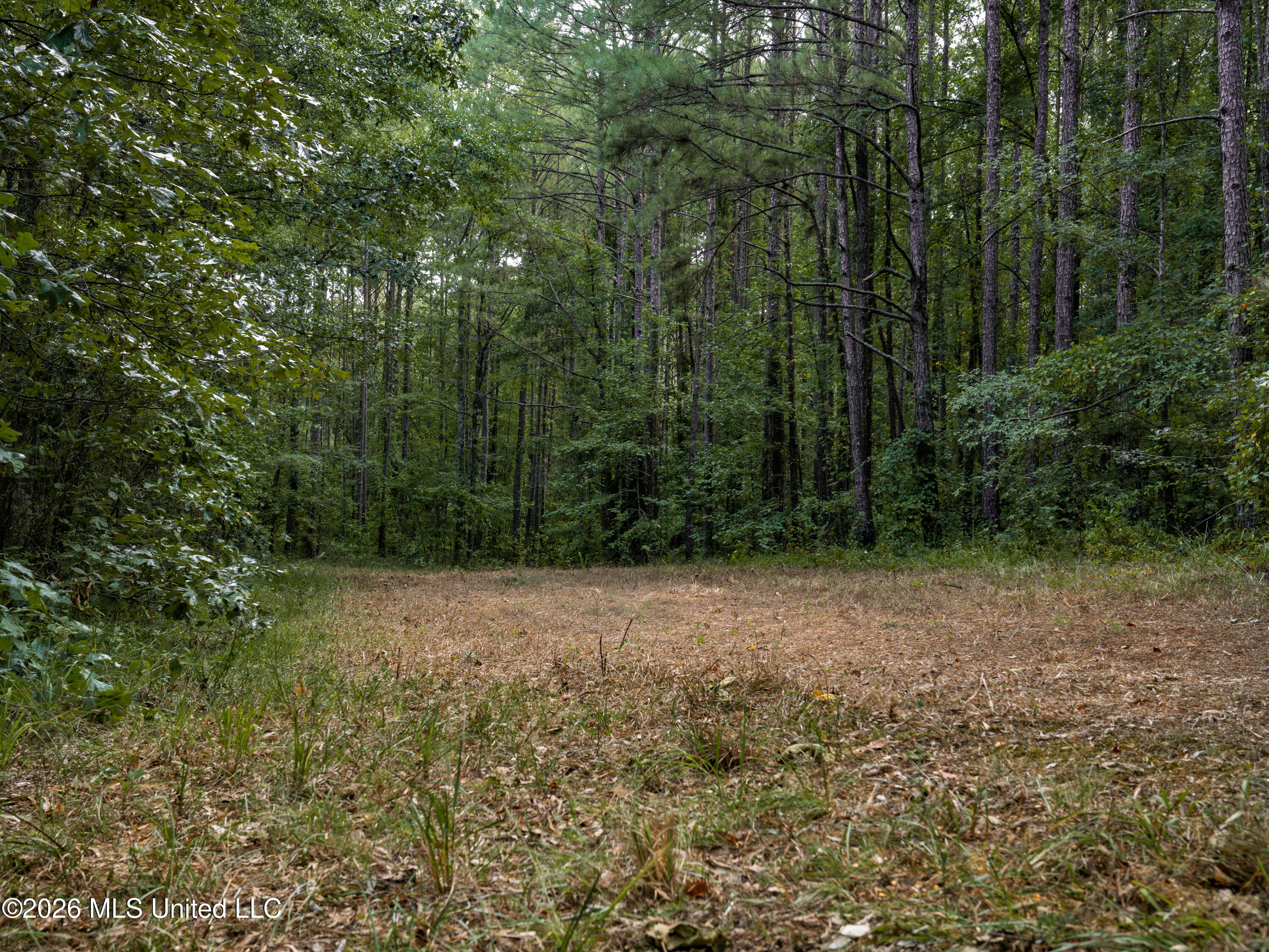 884 Truitt Road Property Photo 10