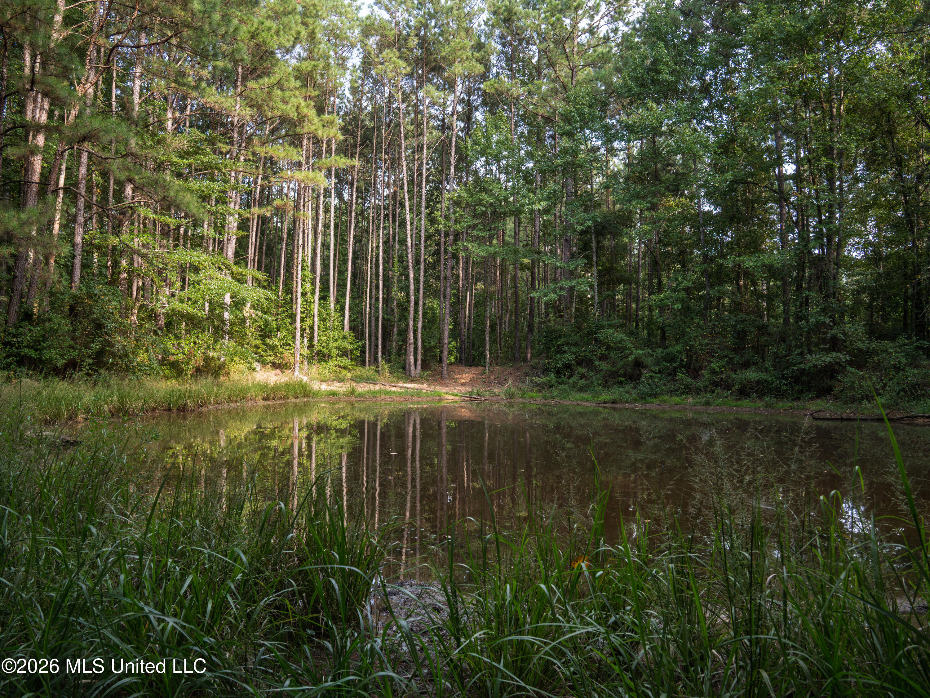 884 Truitt Road Property Photo 12