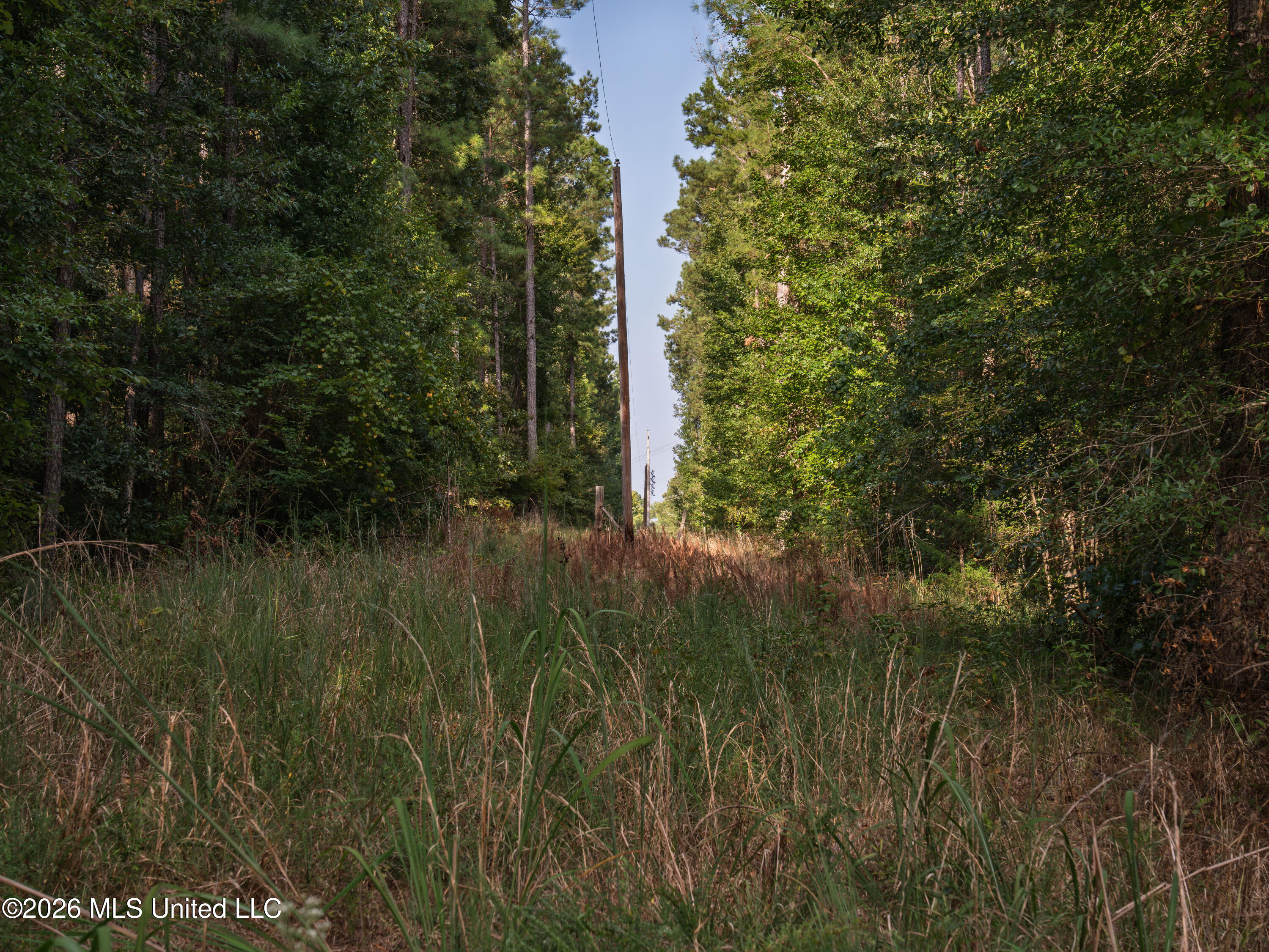 884 Truitt Road Property Photo 13