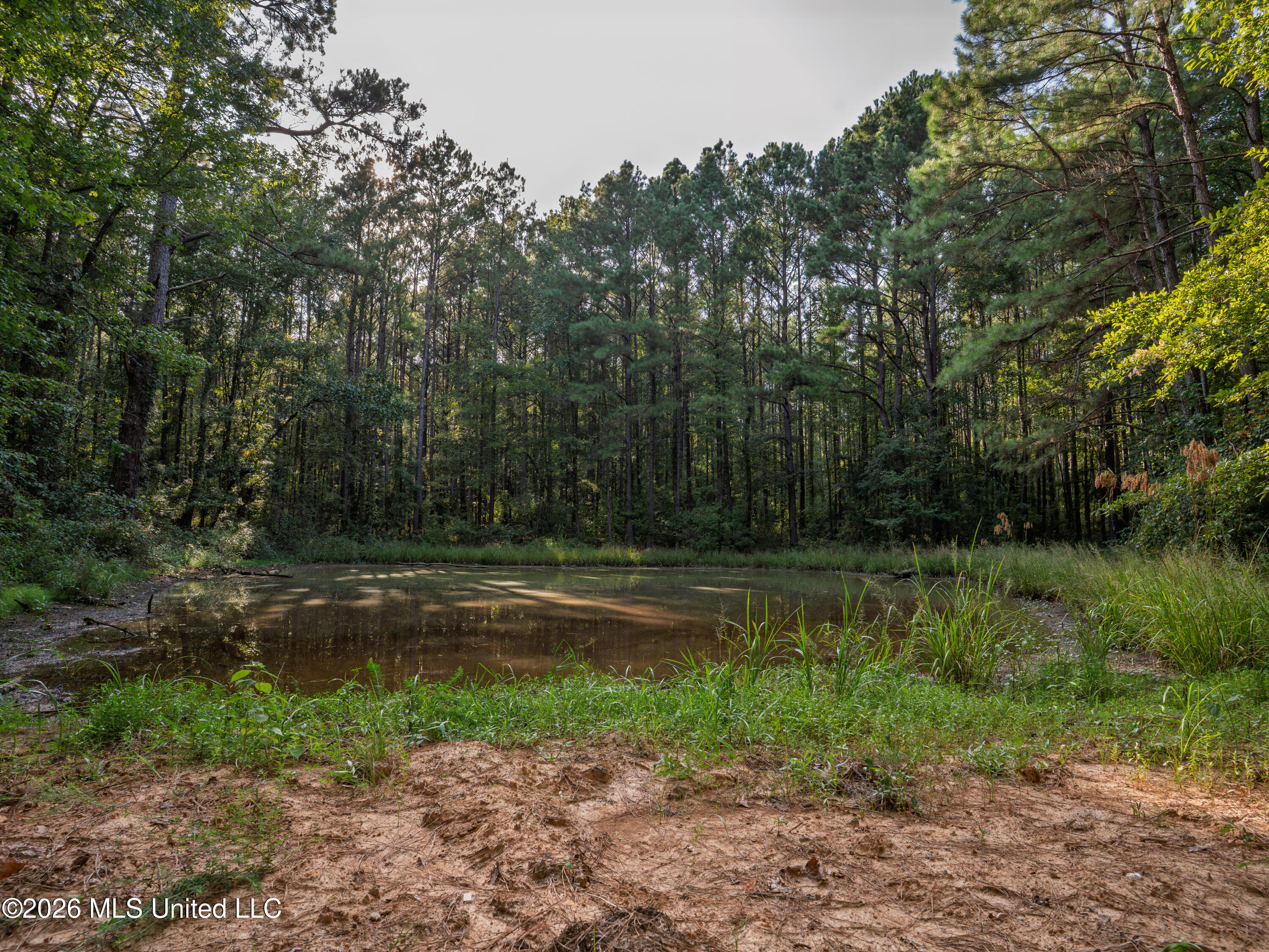 884 Truitt Road Property Photo 16
