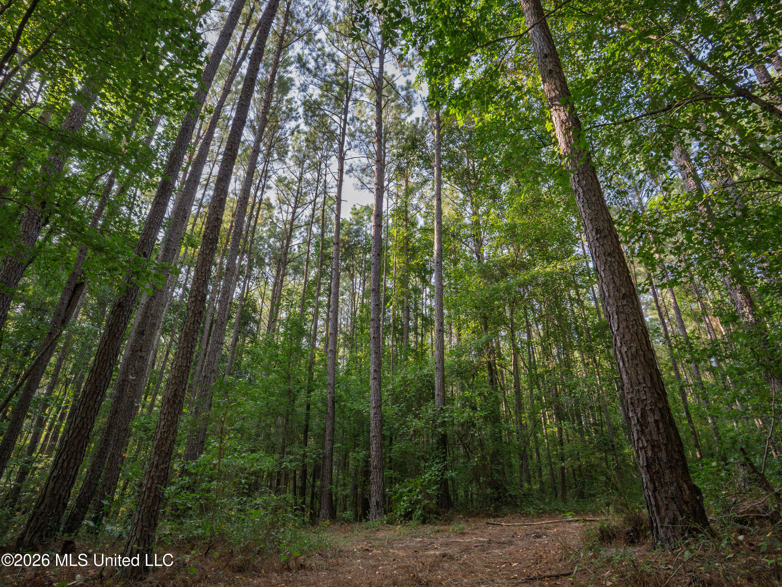 884 Truitt Road Property Photo 18