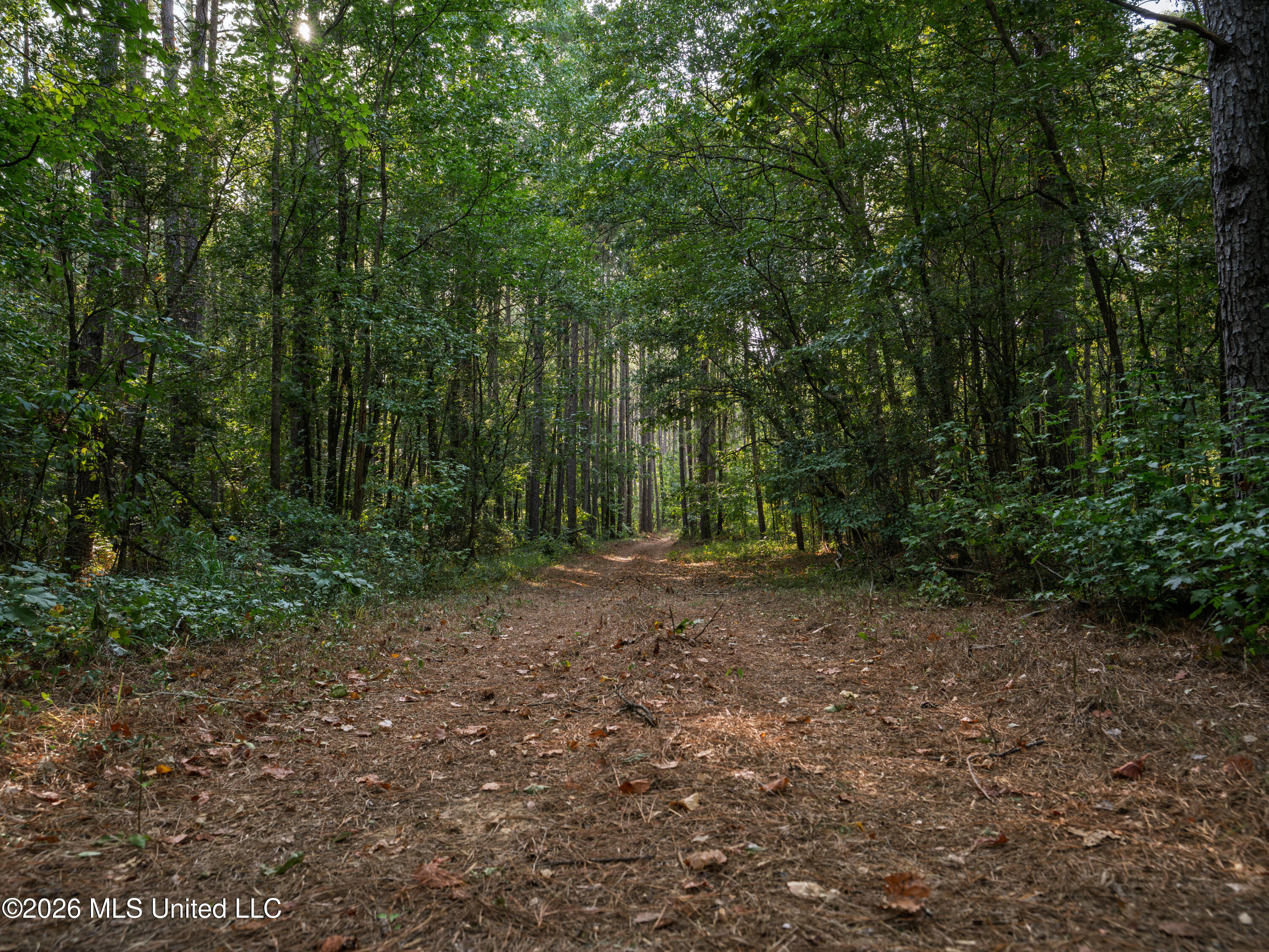 884 Truitt Road Property Photo 19