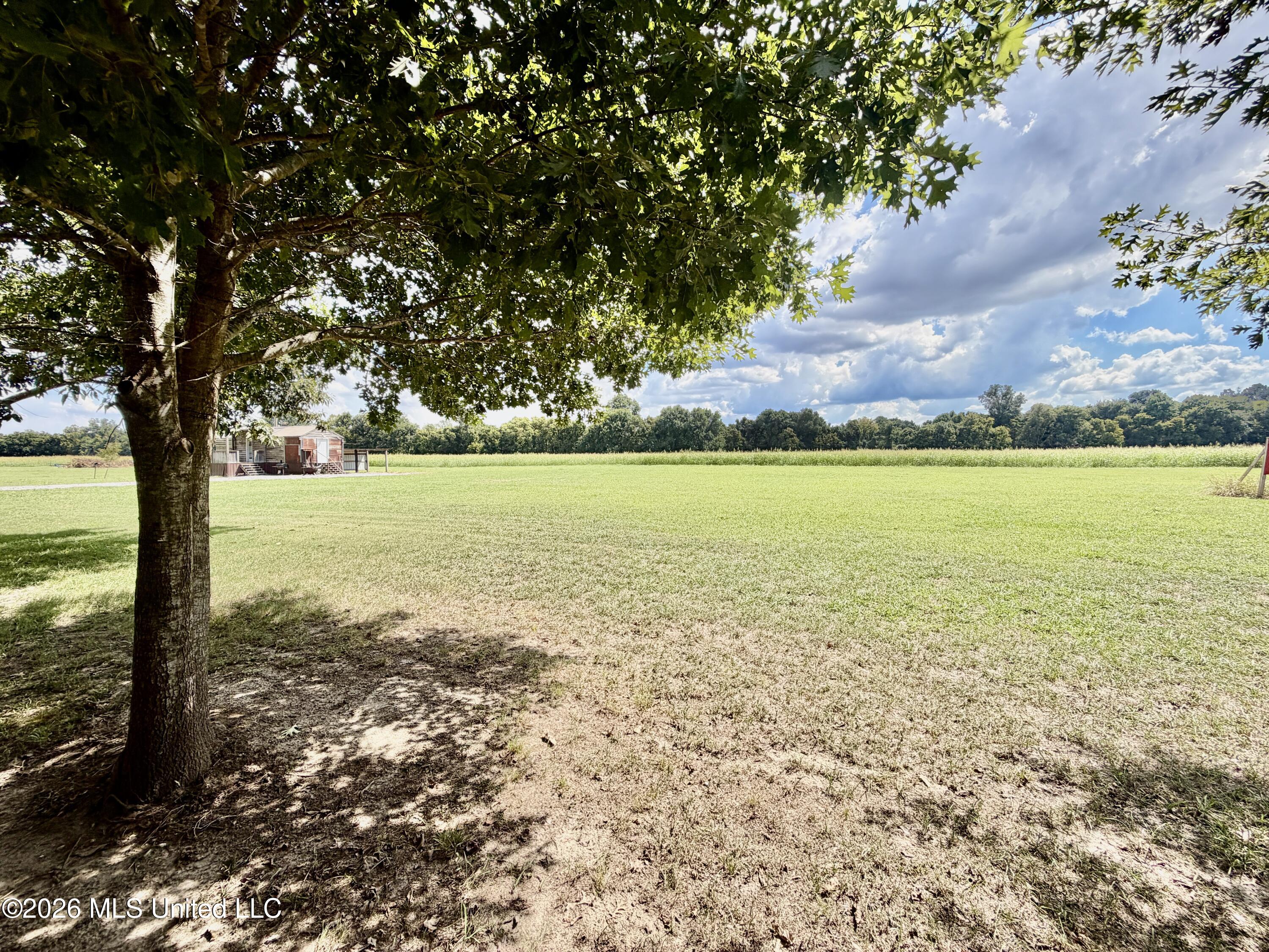 Lot 16 Donaldson Point Road Property Photo 6