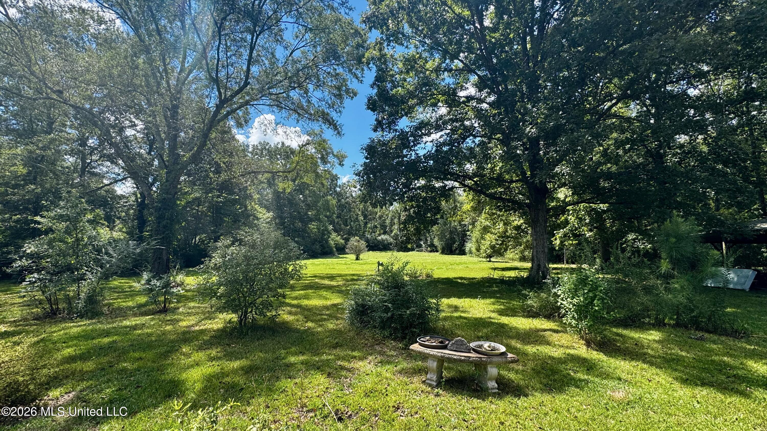 3186 Mccomb Holmesville Road Property Photo 18