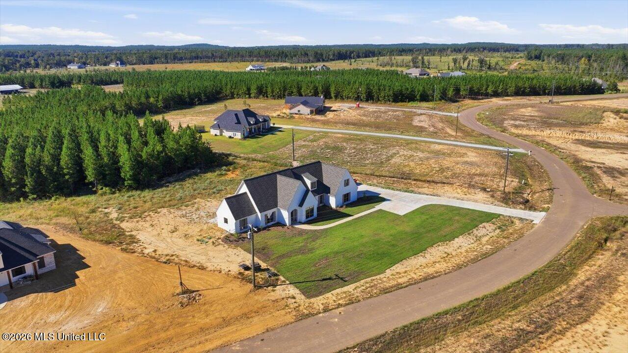 1021 Freedom Farms Crossing Property Photo 47
