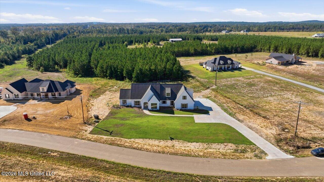 1021 Freedom Farms Crossing Property Photo 48