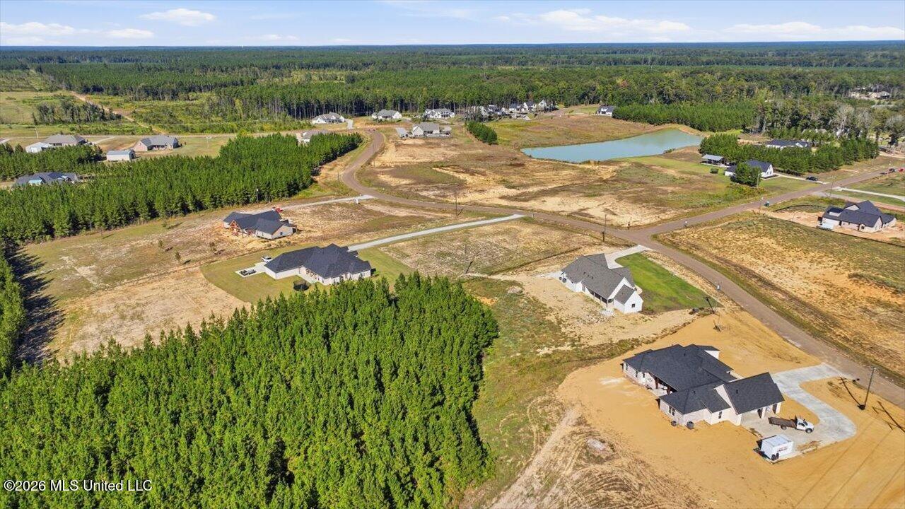 1021 Freedom Farms Crossing Property Photo 51