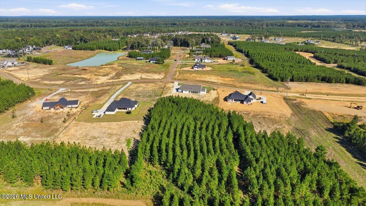 1021 Freedom Farms Crossing Property Photo 52