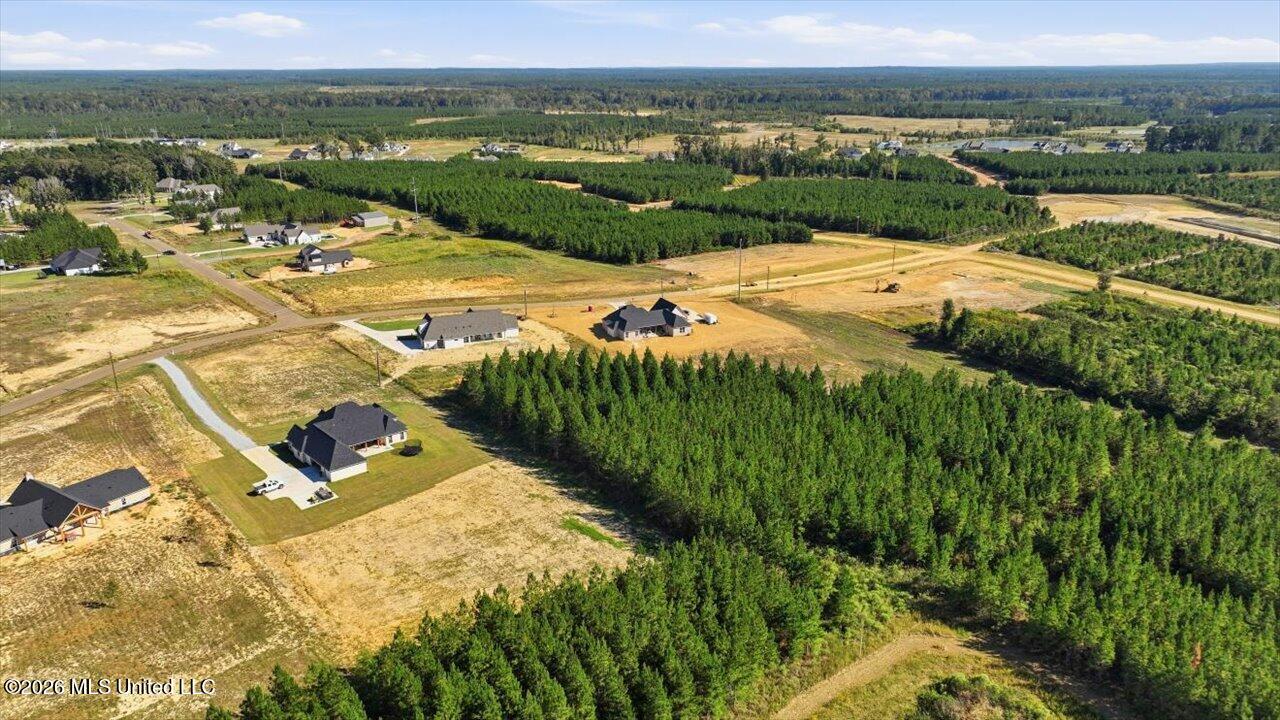 1021 Freedom Farms Crossing Property Photo 53