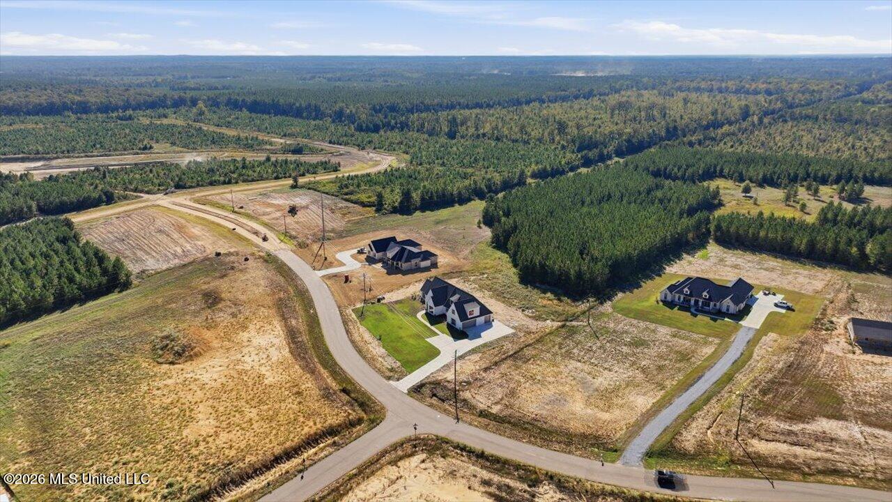 1021 Freedom Farms Crossing Property Photo 54