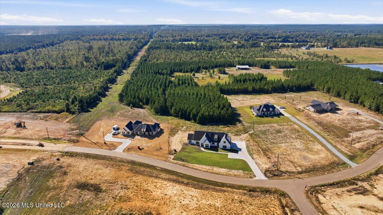 1021 Freedom Farms Crossing Property Photo 55