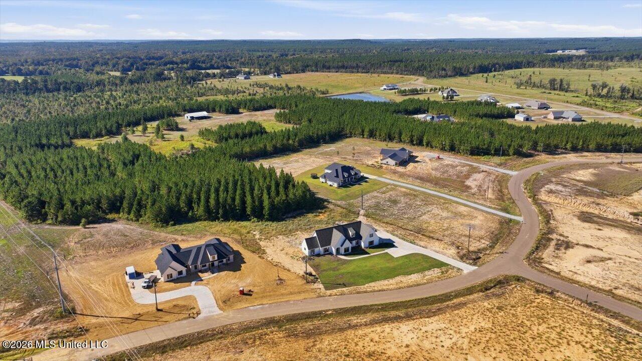 1021 Freedom Farms Crossing Property Photo 56