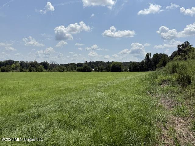 0 Brewer Drive Property Photo 9
