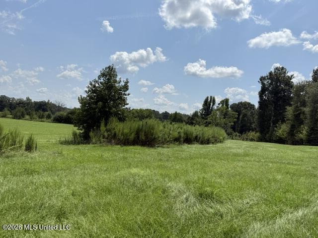 0 Brewer Drive Property Photo 11