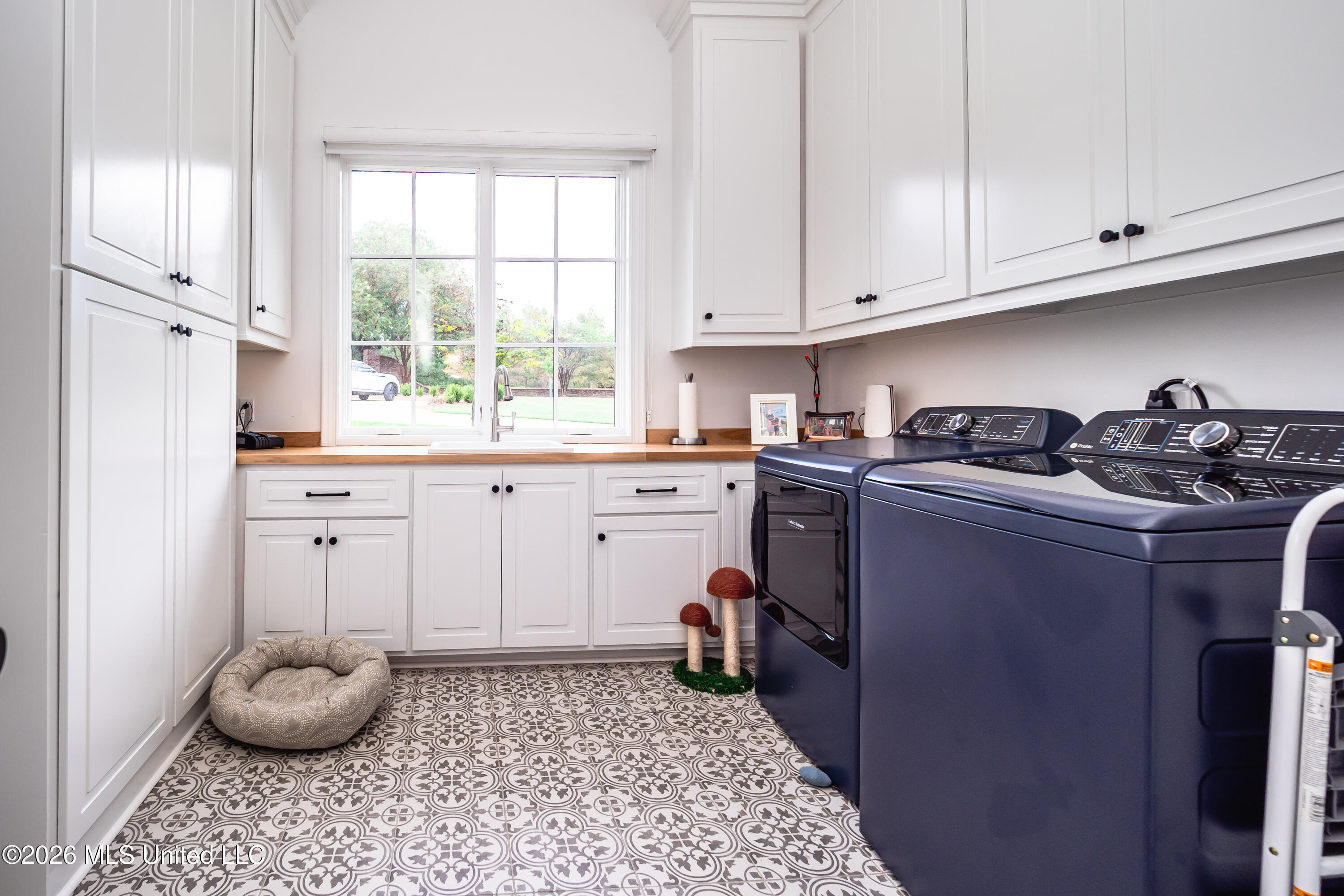100 Bridgewater Crossing Property Photo 42