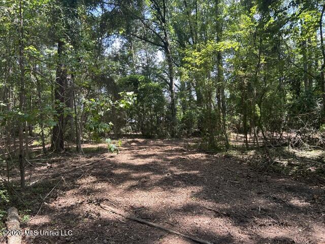 404 Liberty Street Property Photo 41