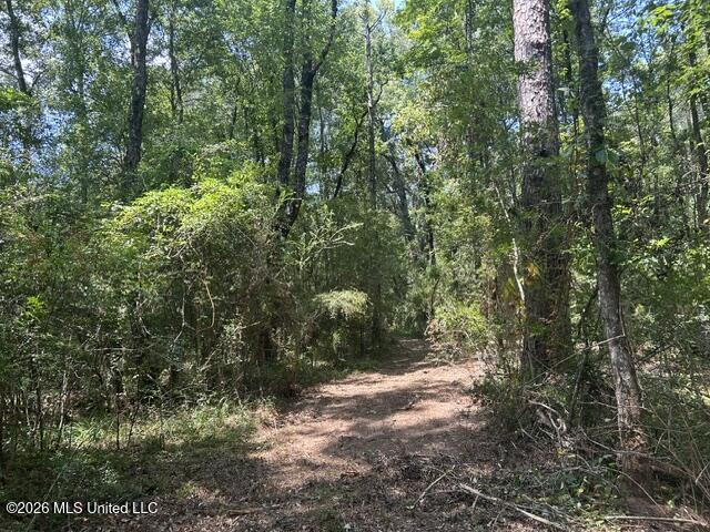 404 Liberty Street Property Photo 48