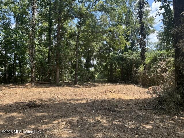 404 Liberty Street Property Photo 50