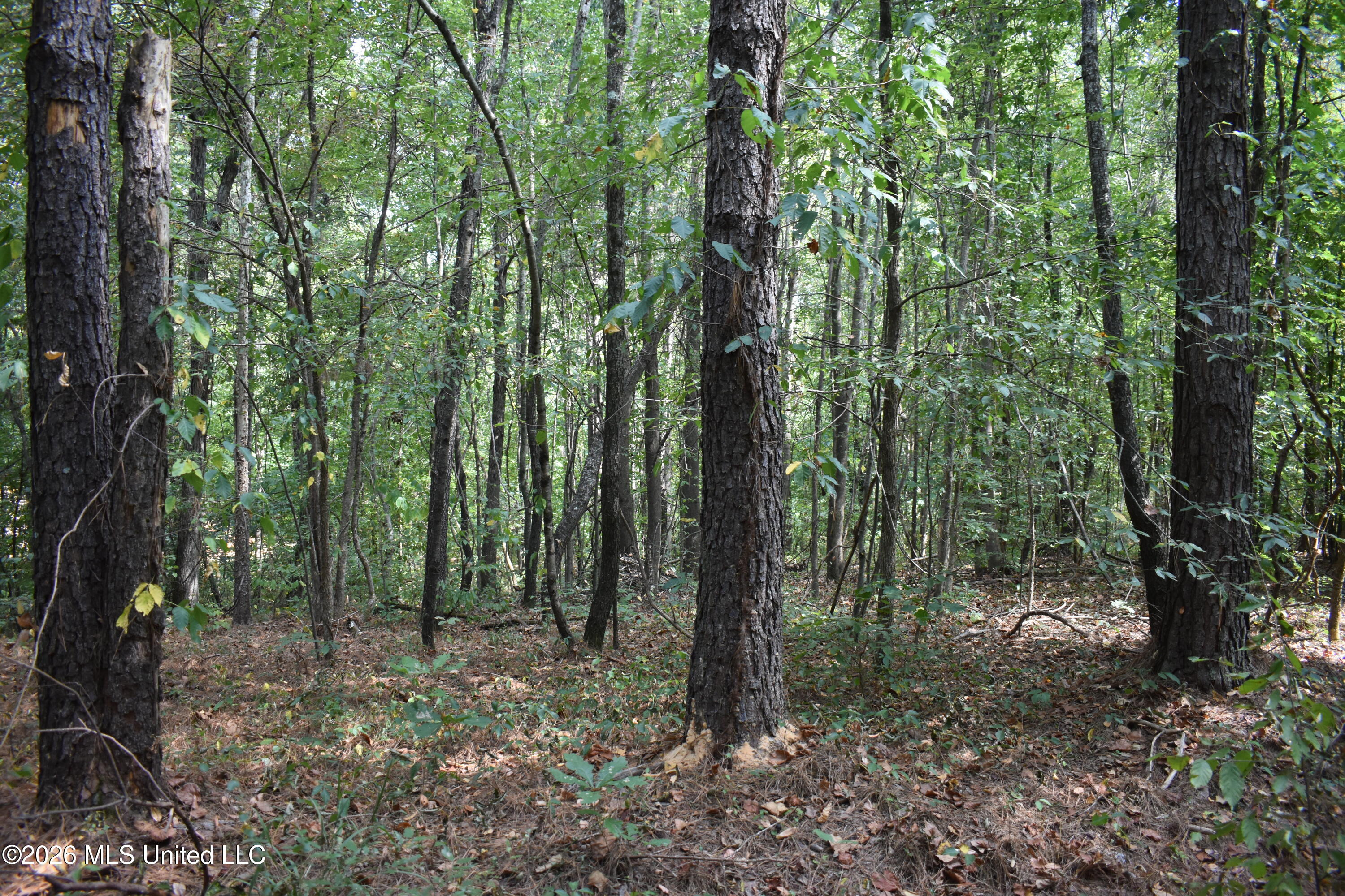700 Front Road Property Photo 6