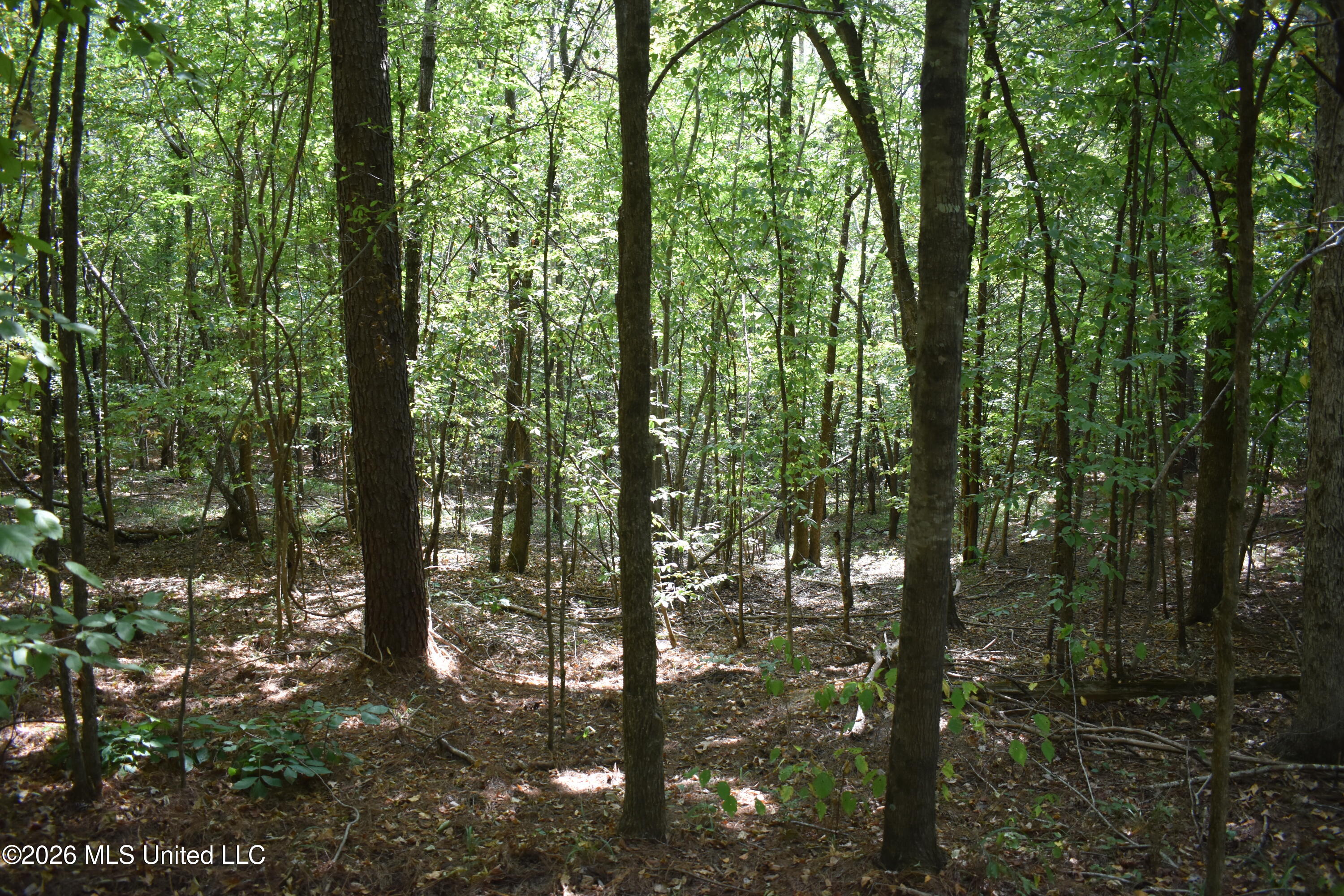 700 Front Road Property Photo 8