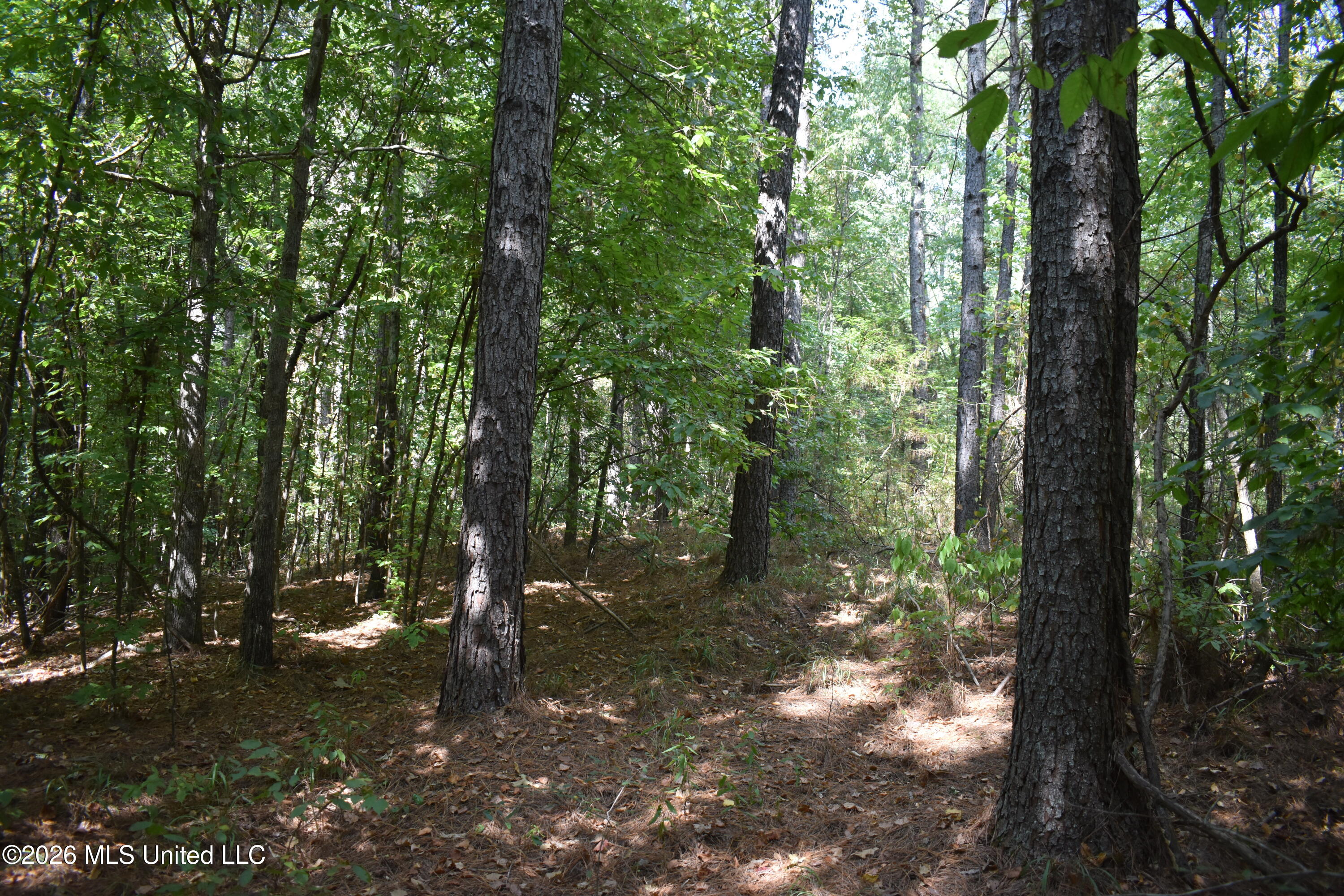 700 Front Road Property Photo 9