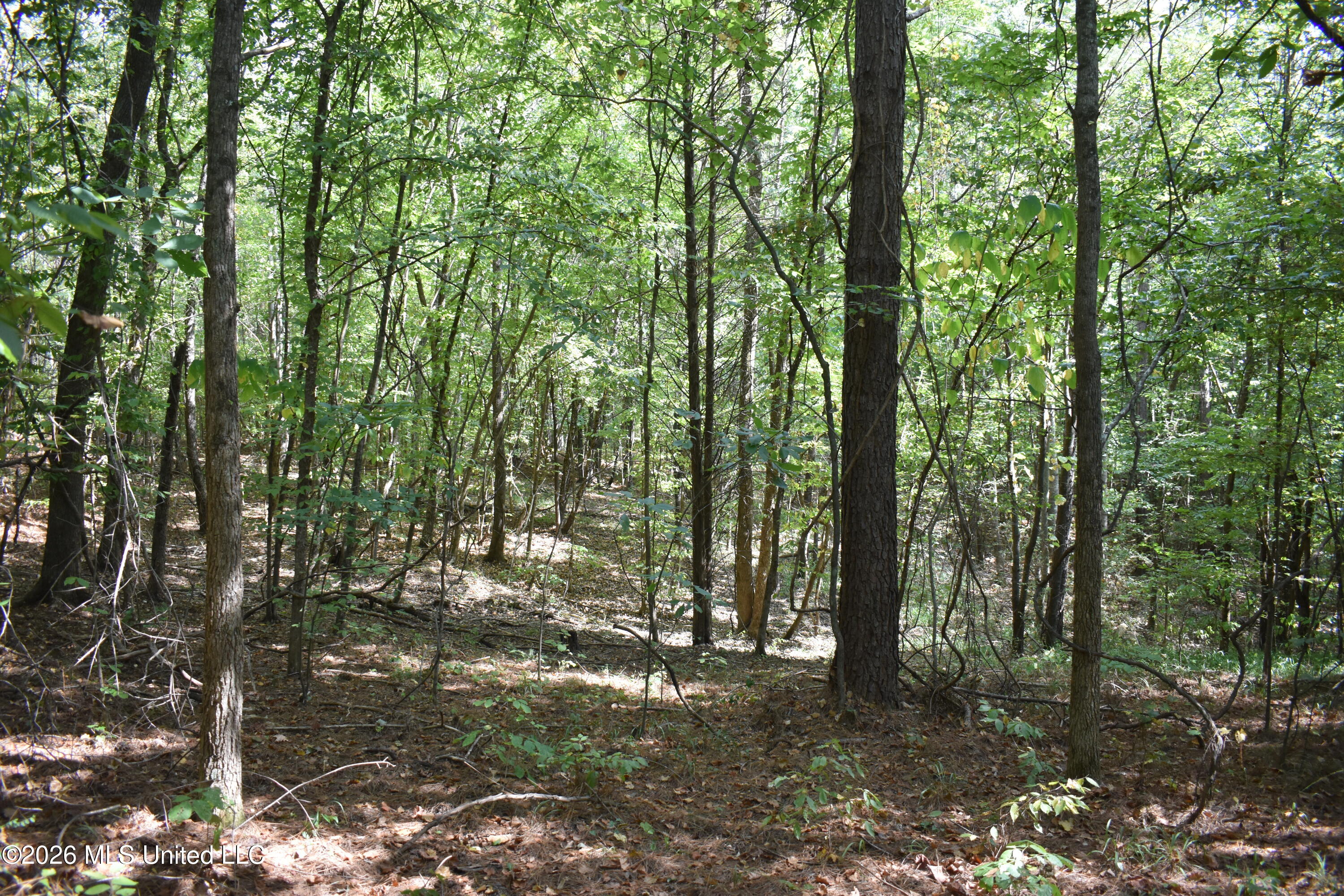 700 Front Road Property Photo 10