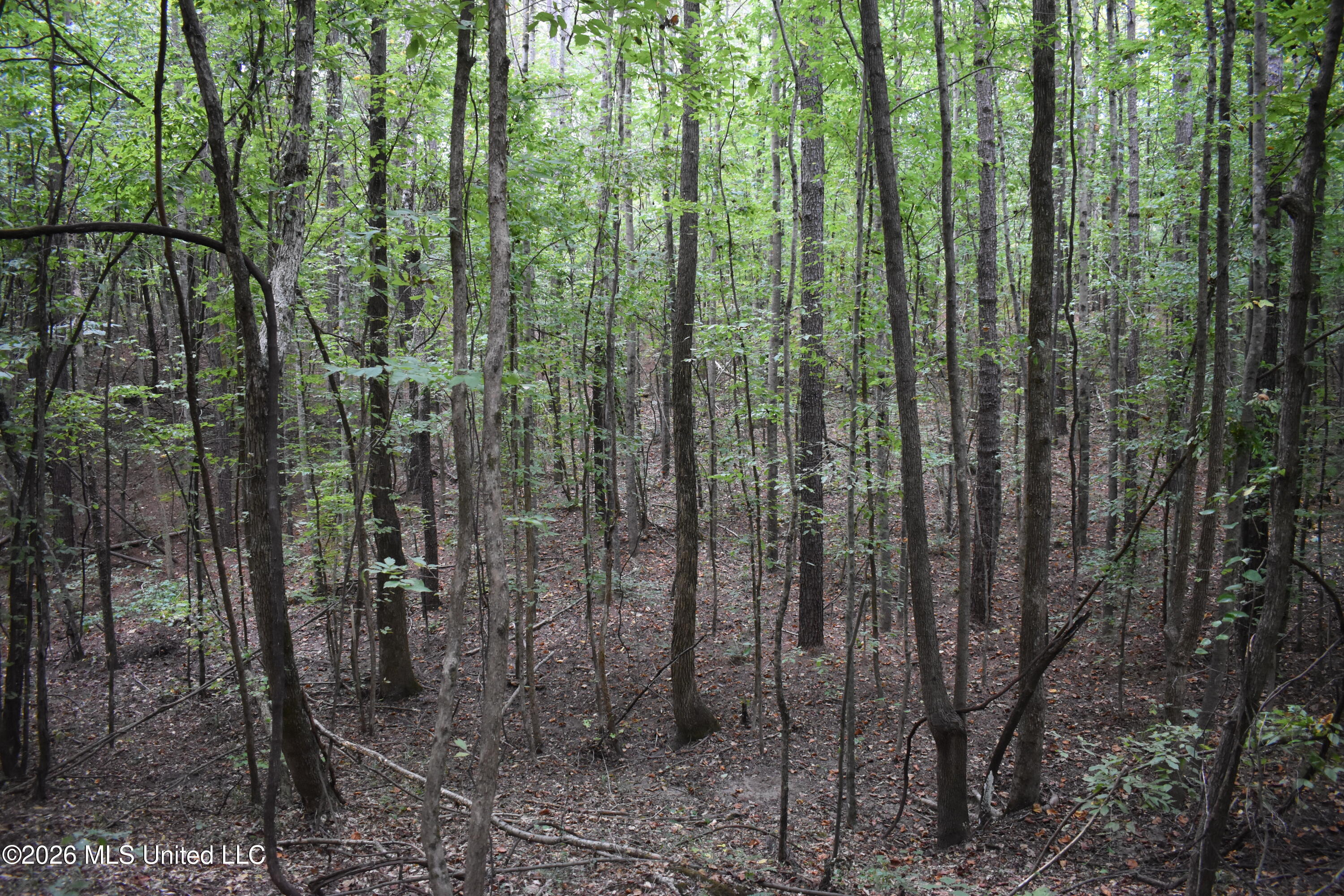 700 Front Road Property Photo 11