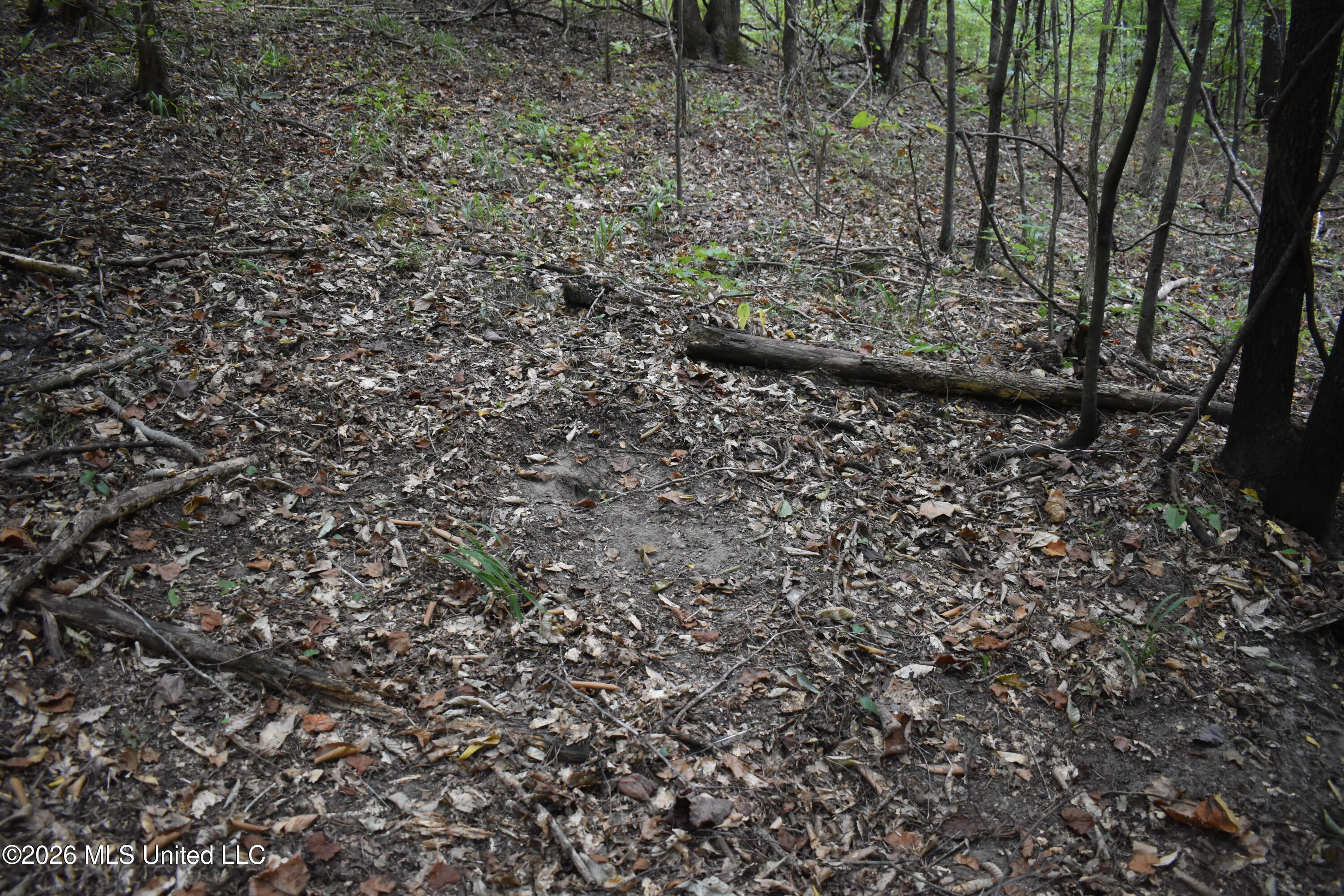 700 Front Road Property Photo 12