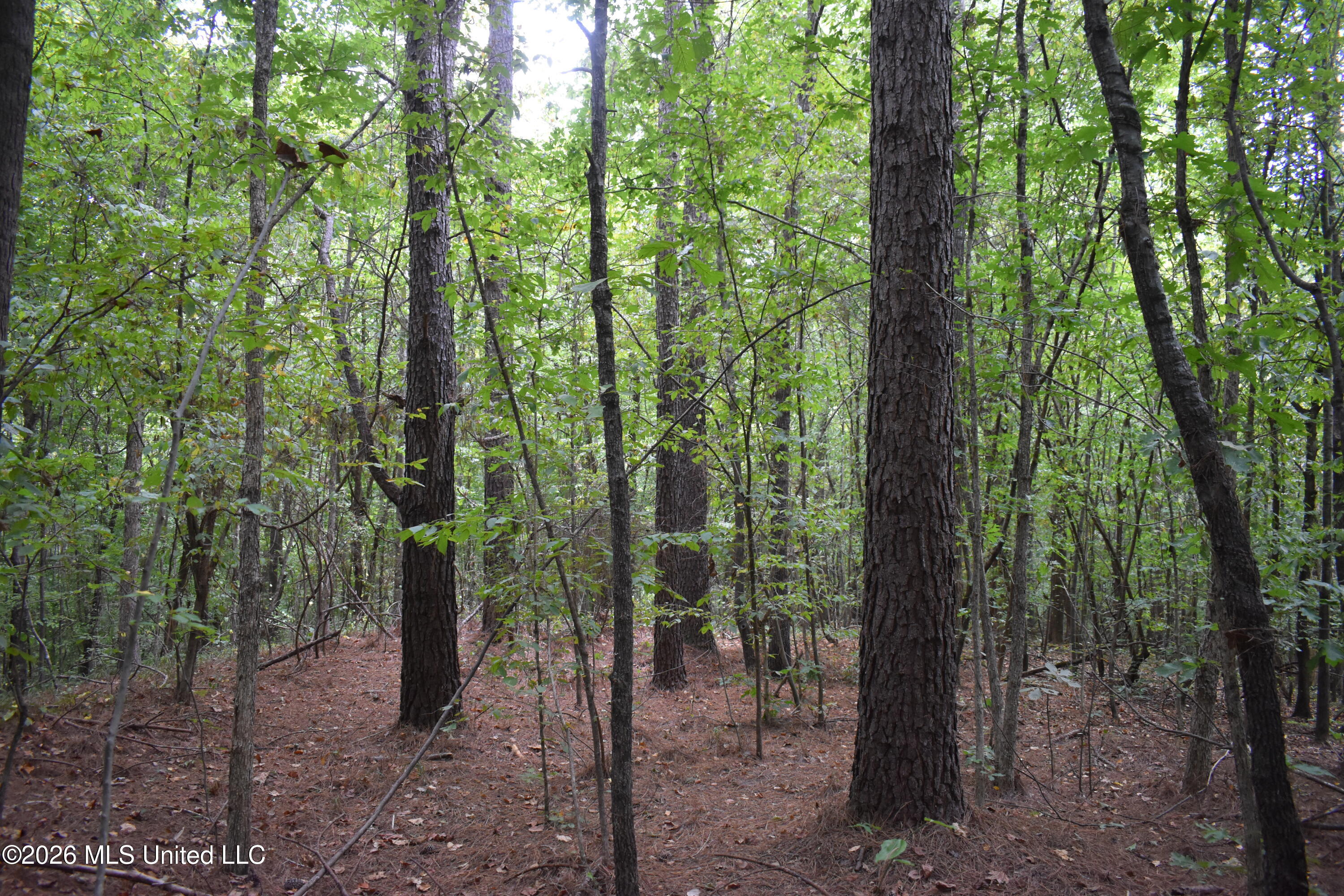 700 Front Road Property Photo 13