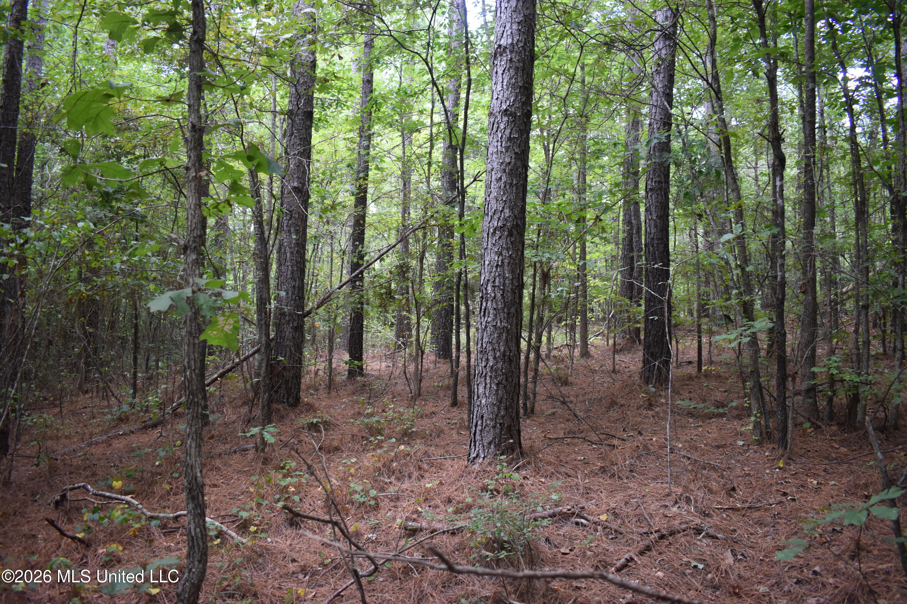 700 Front Road Property Photo 14